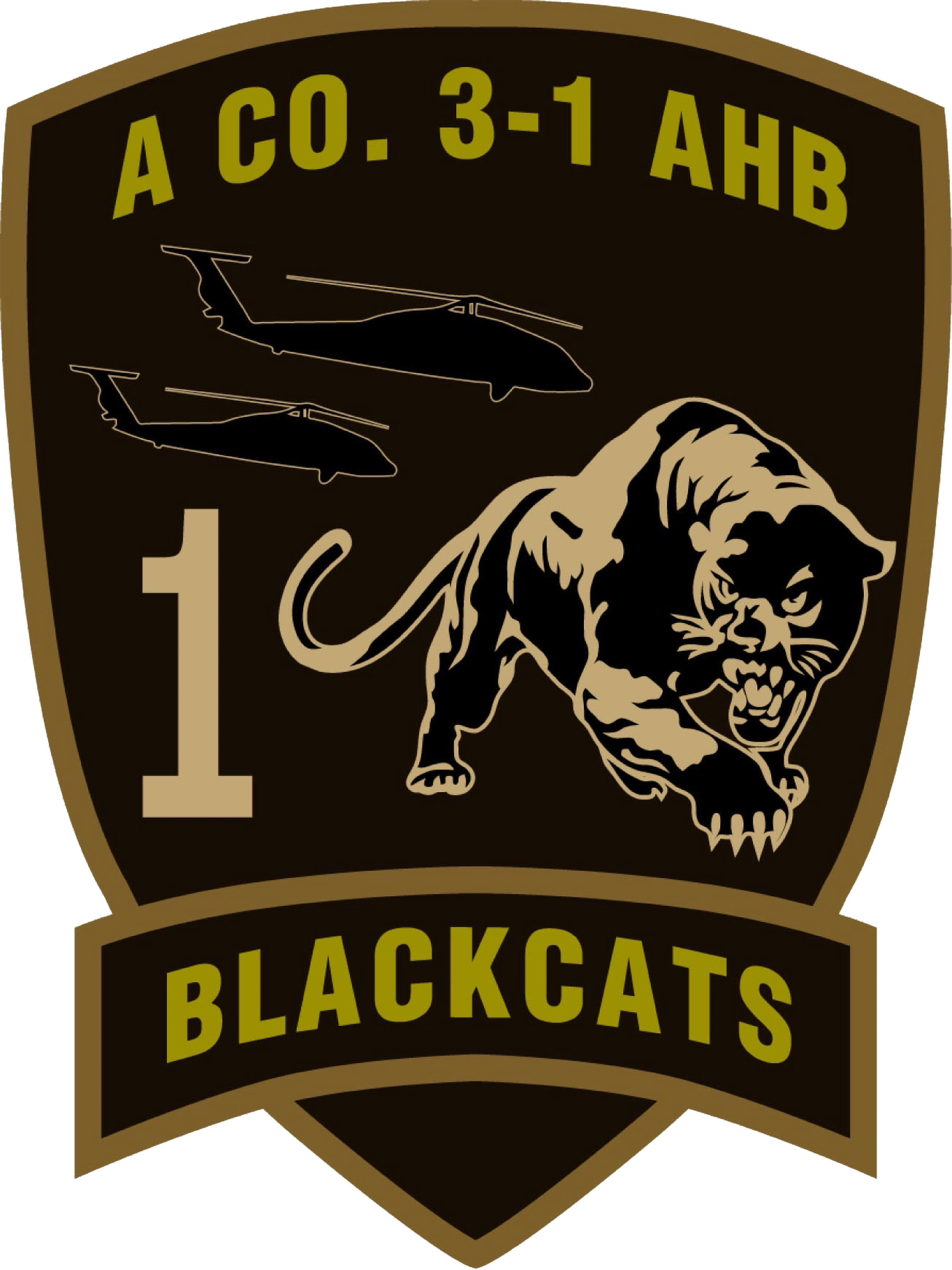 A Co, 3-1 AHB "Blackcats"