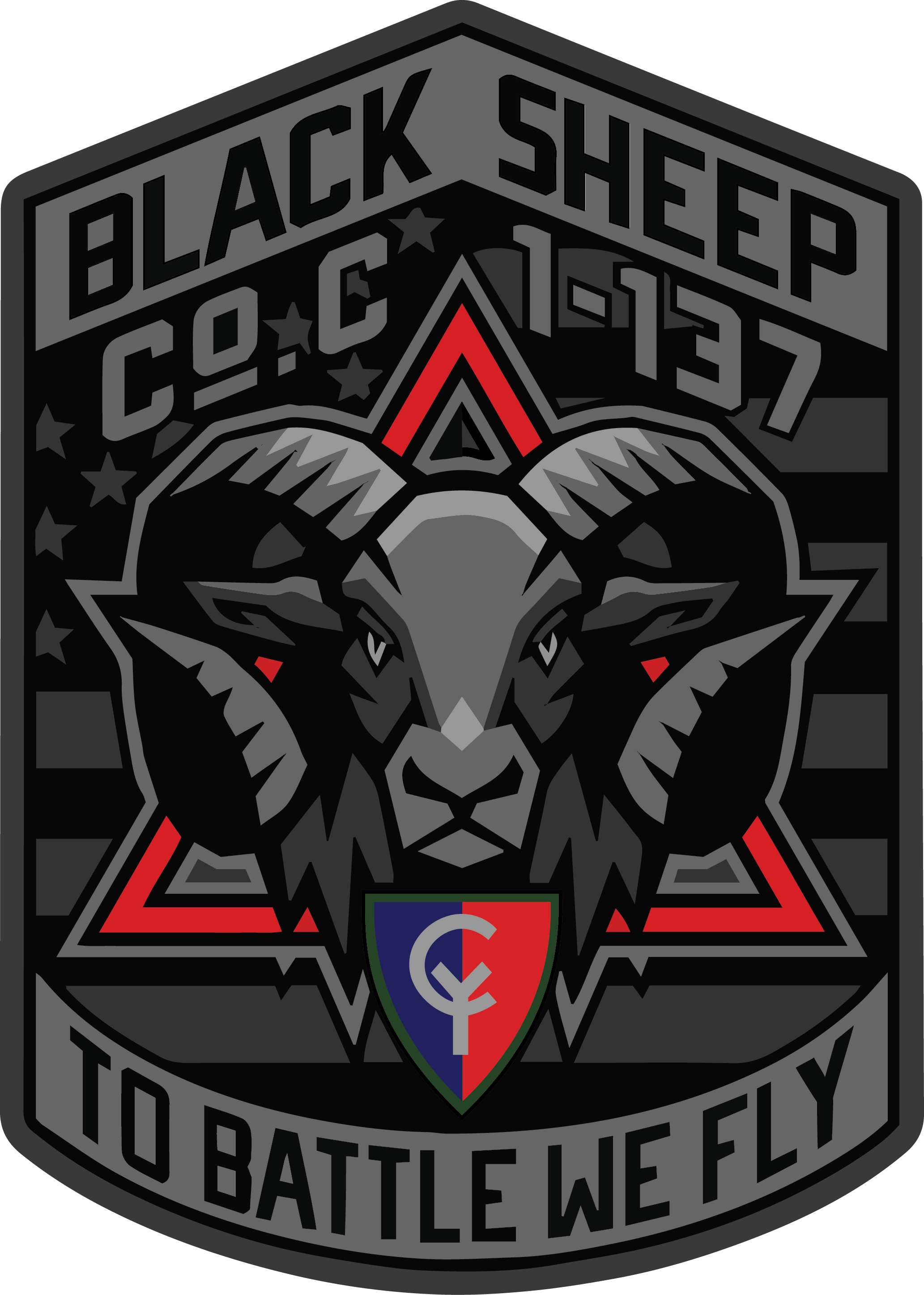 C Co, 1-137 AVN "Black Sheep"