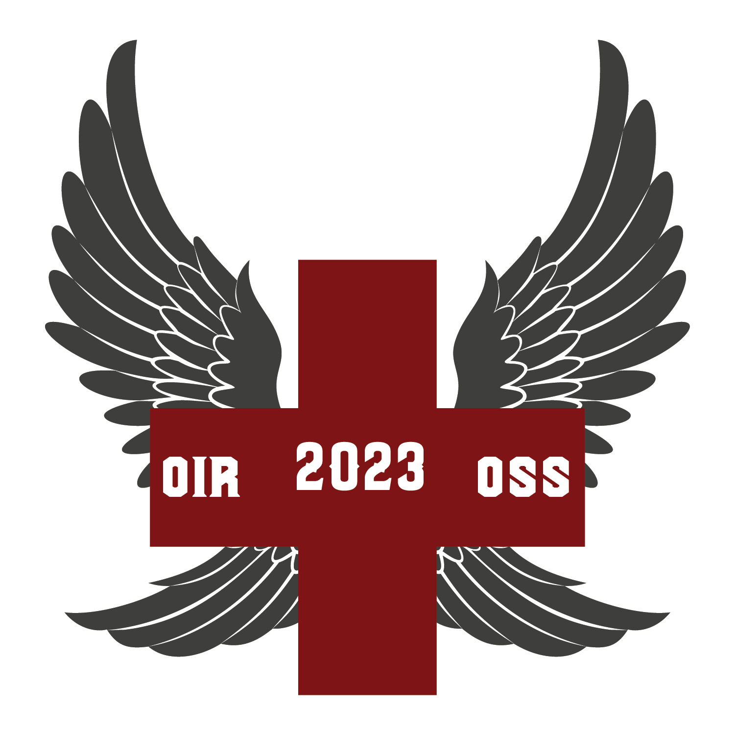 C Co, 3-126 Medevac "Udairi Dustoff"