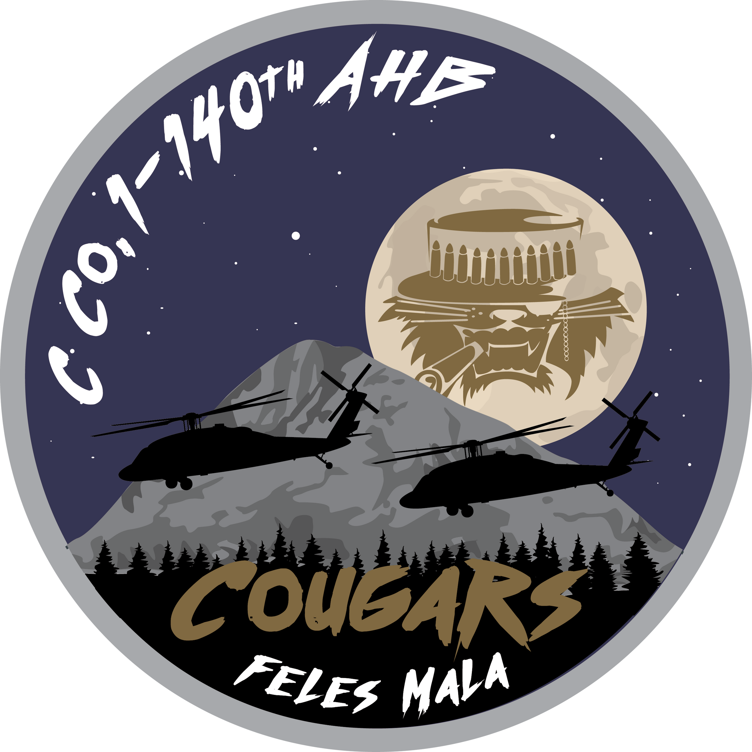 C Co, 1-140th "Cougars"
