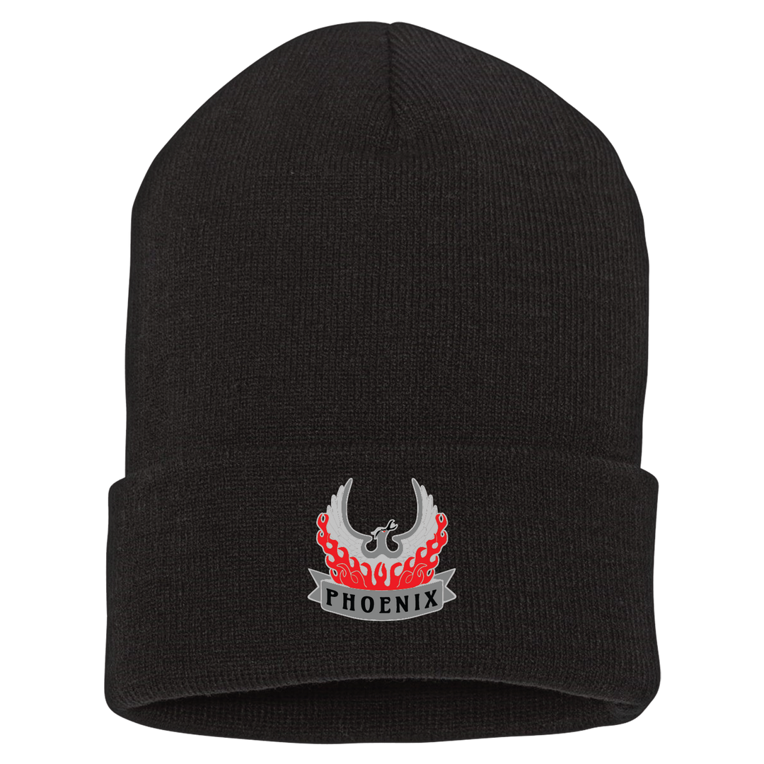 A Co, 5-101 AHB "Phoenix" Beanies