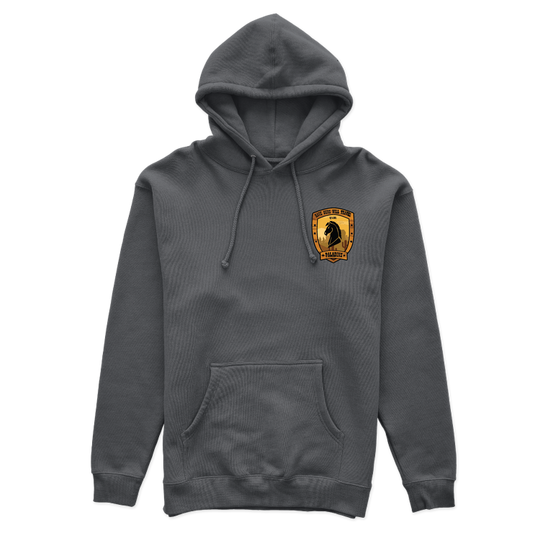 C Co, 1-101 "Paladins" Hoodies