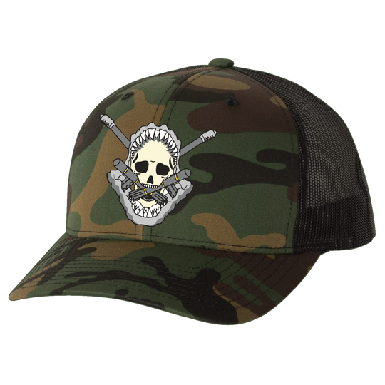 D Co, 1-229 AB "Hammerheads" Embroidered Hats