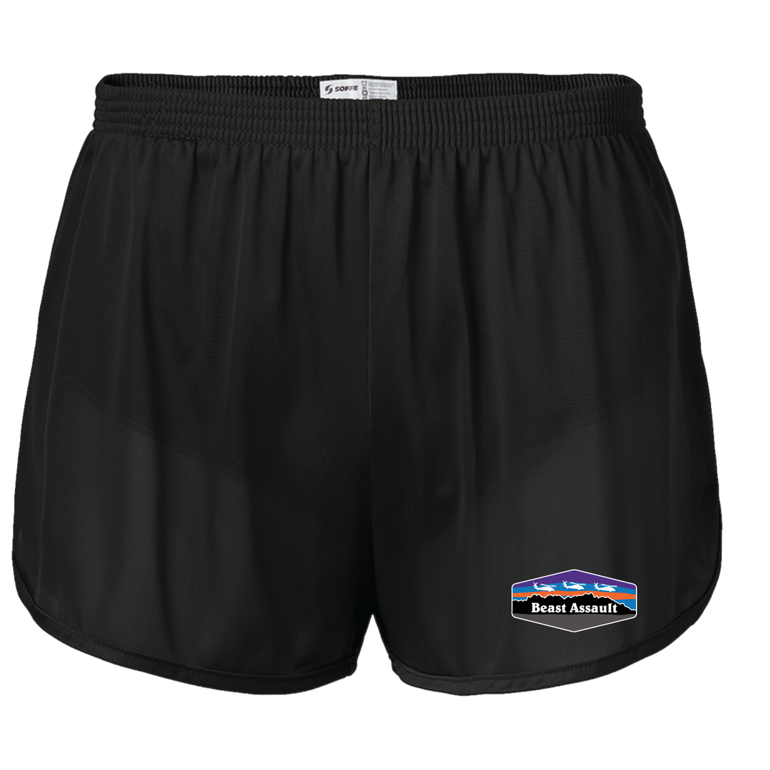 B Co, 3-501 AHB "Beast Assault" Silkies