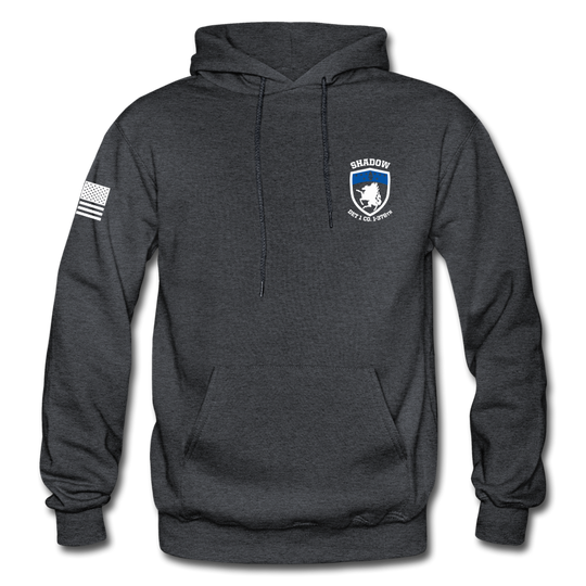 Det 1, C Co, 1-376 AVN Hoodie