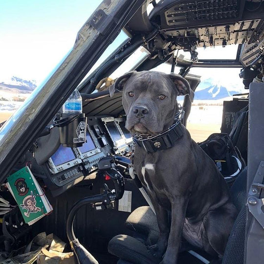 Wigglin’ Sticks Sticker