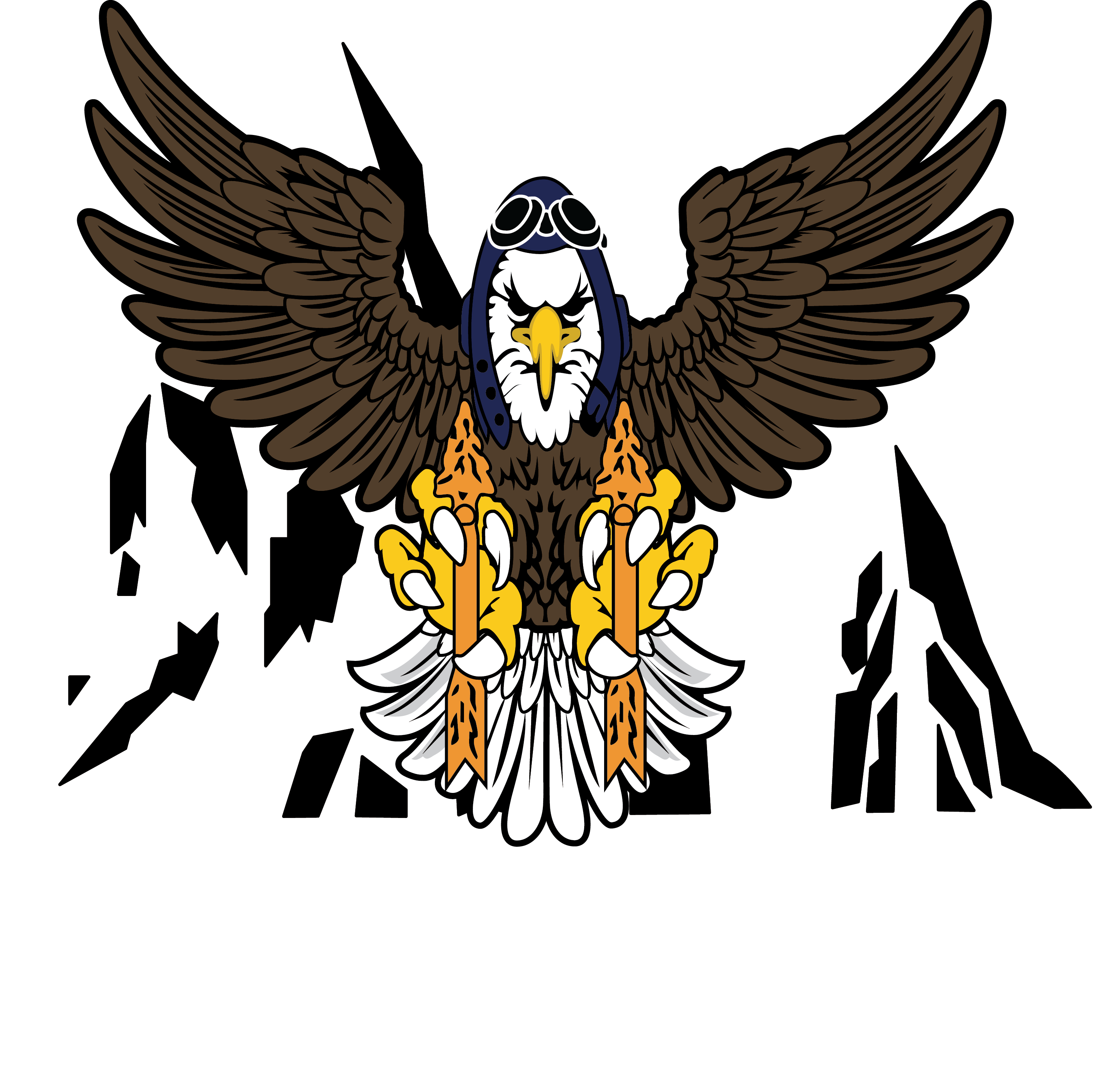 HHC, 11th ECAB "War Eagles"