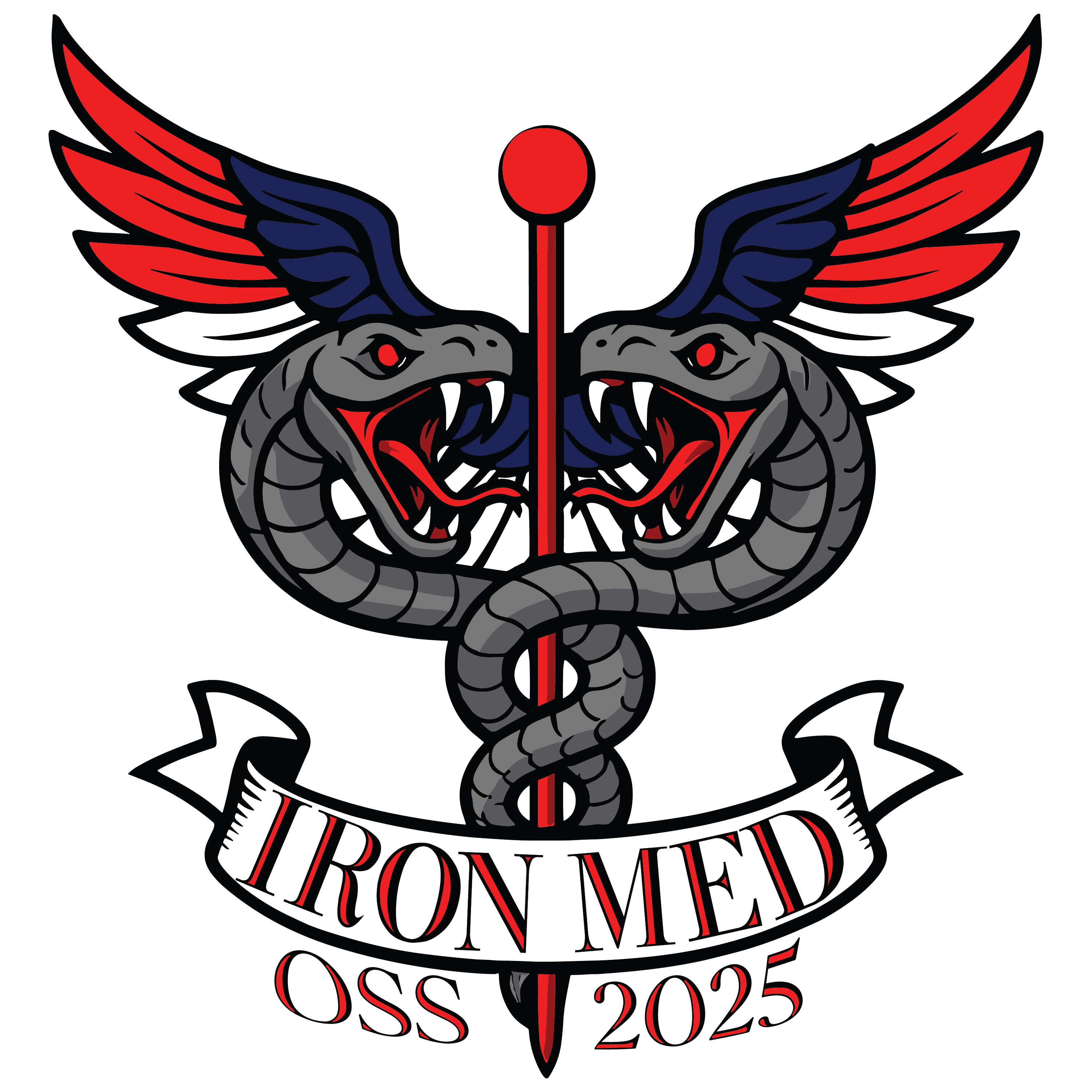 16th EN BDE "Iron Med"