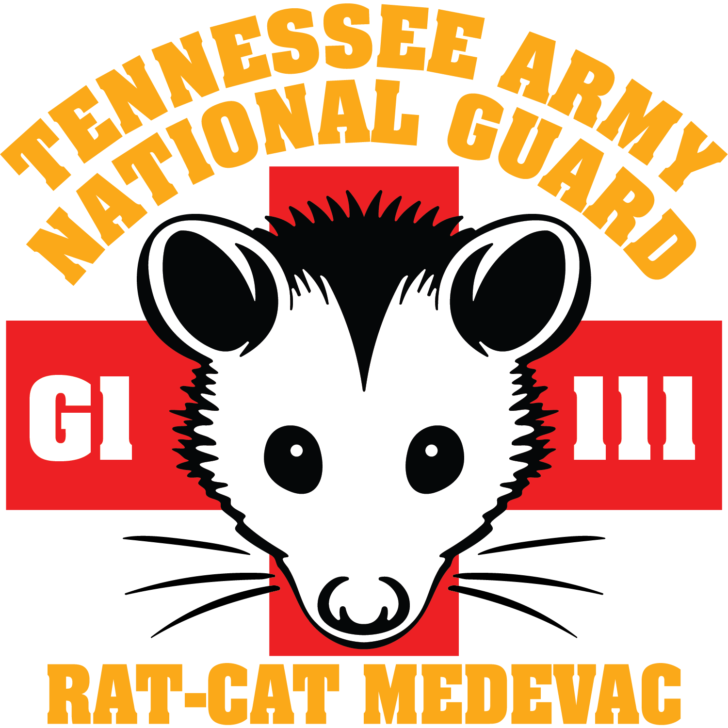 Det 1, G Co, 1-111 AVN "Rat Cat MEDEVAC"