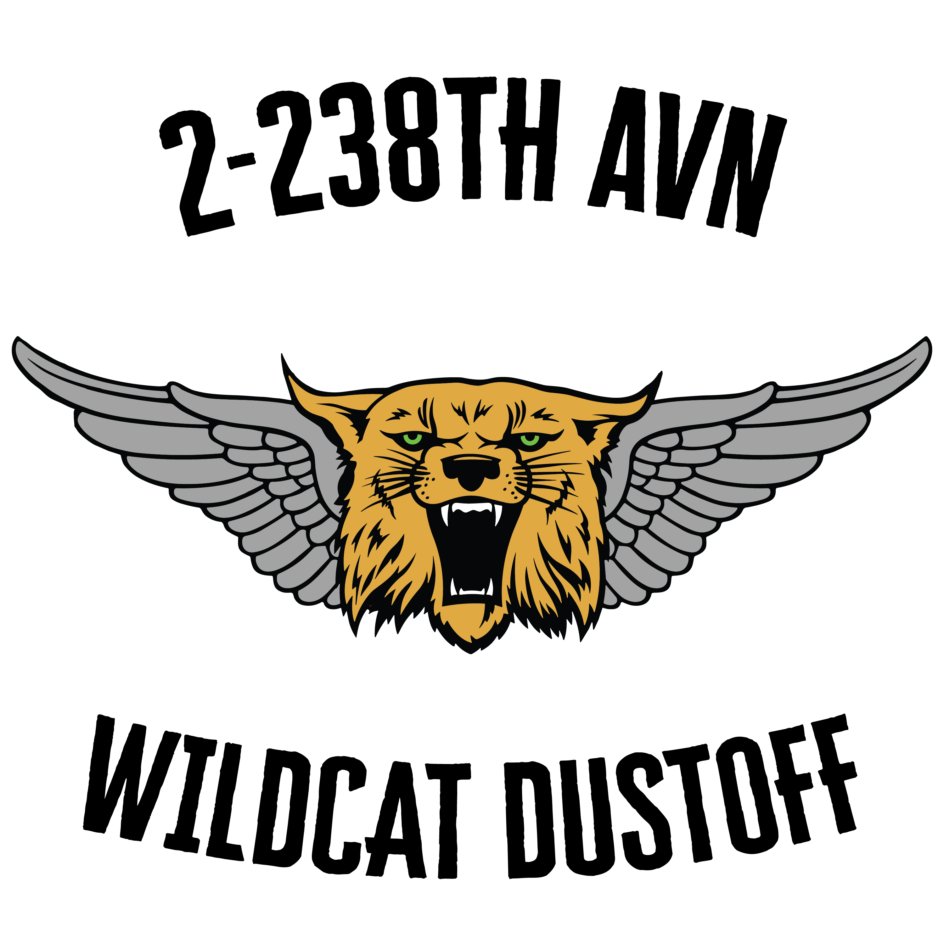 2-238th AVN "Wildcat Dustoff"