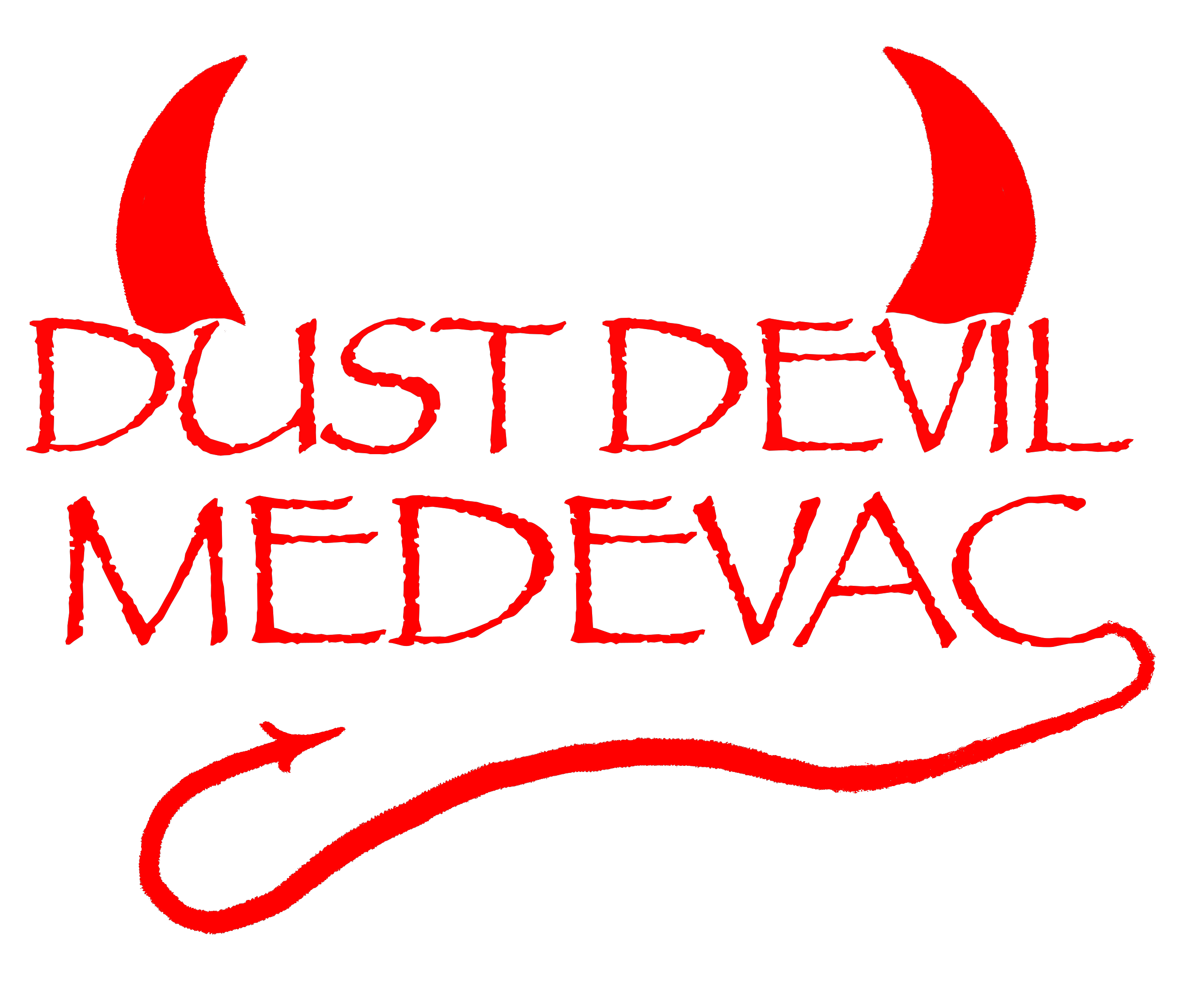 2 FSMP, C Co, 2-501 AVN "Dust Devil Dustoff"