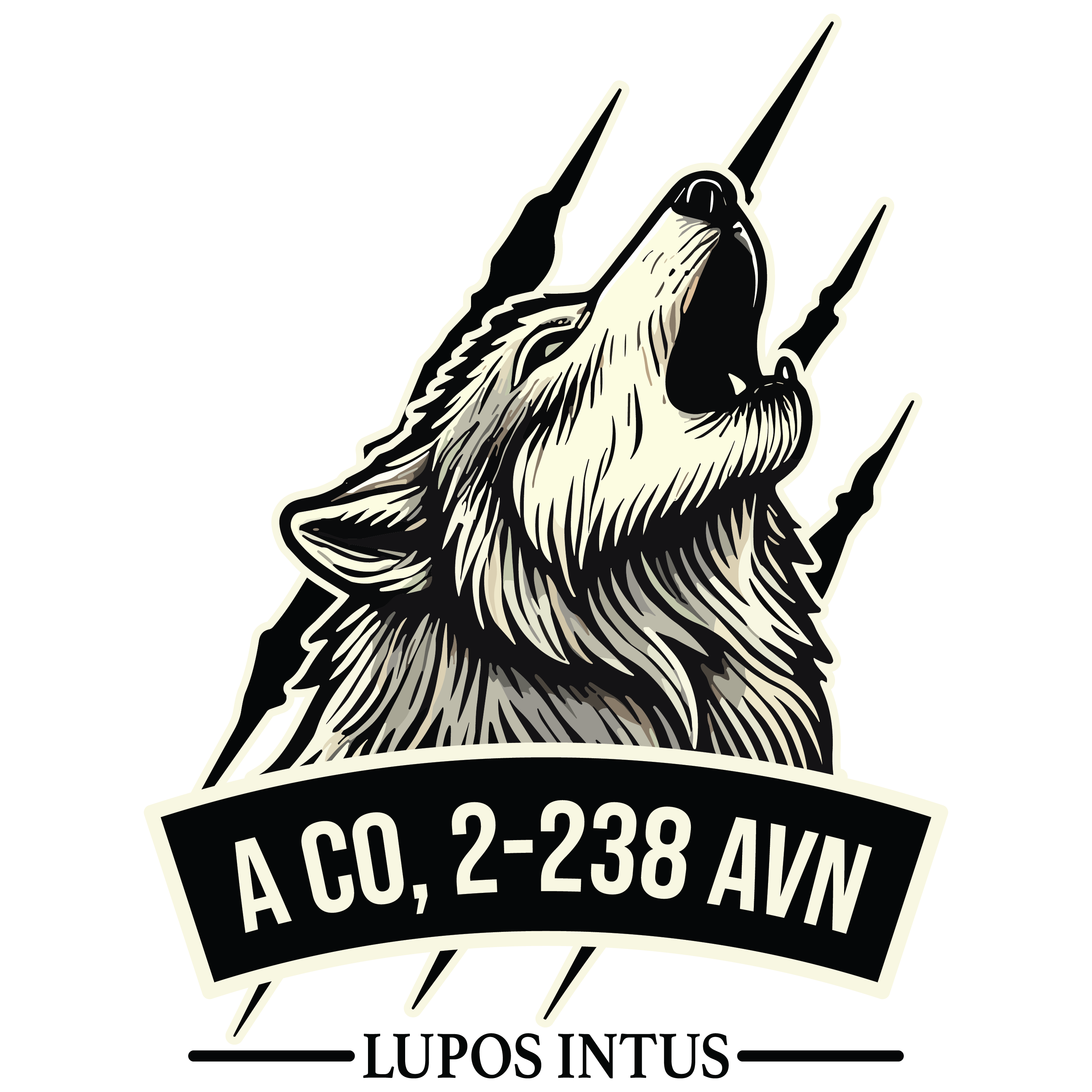 A Co, 2-238 AVN "Wolfpack"