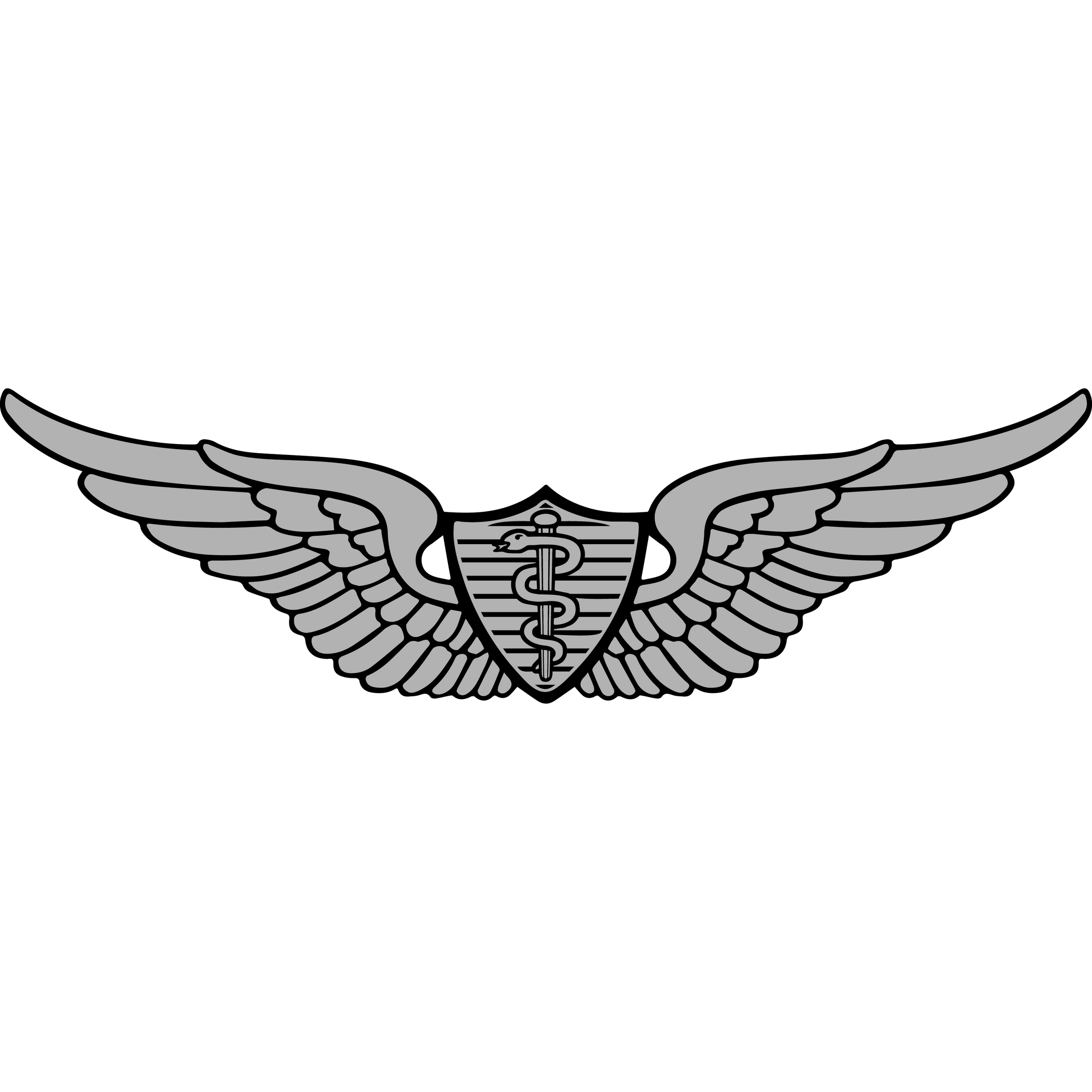 Army Flight Surgeon Badge