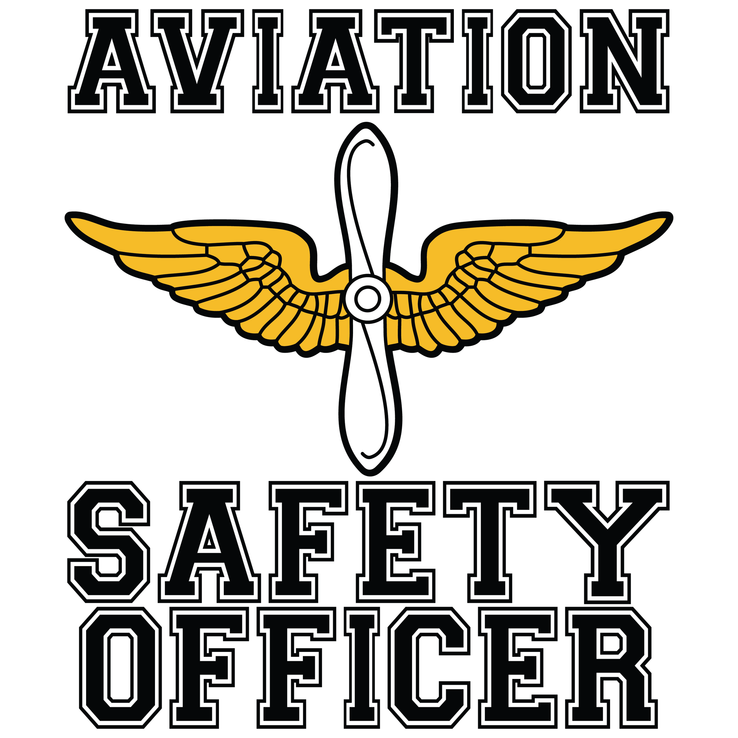 Aviation Safety