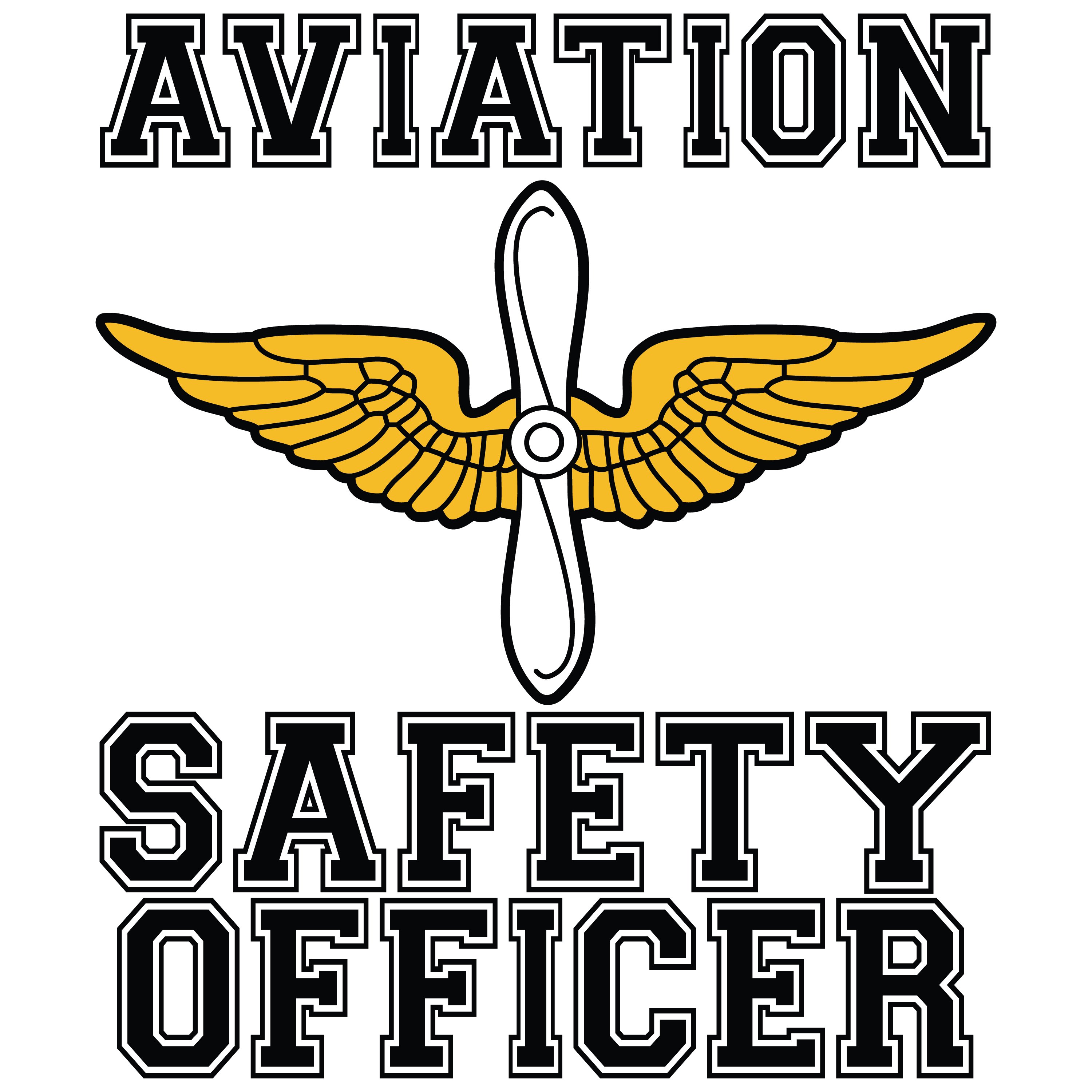 Aviation Safety