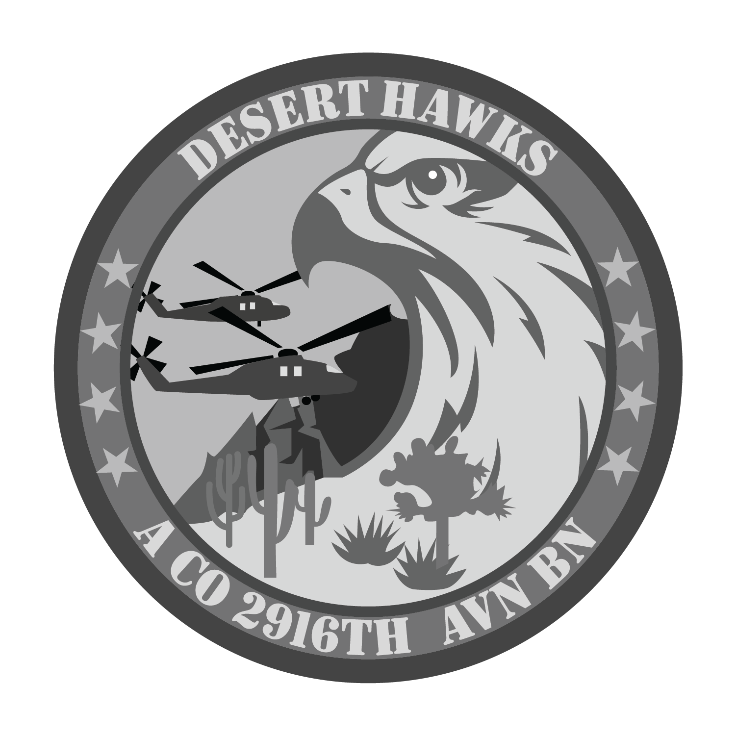 A Co, 2916 AVN "Desert Hawks"