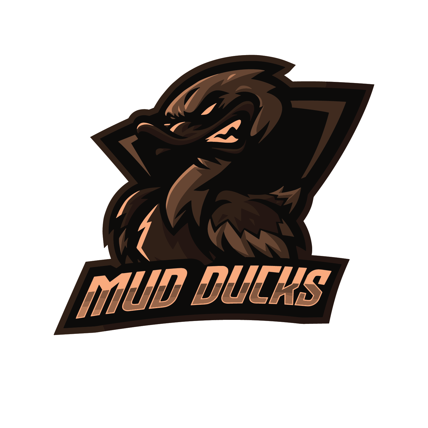 B Co, 1-18IN "Mud Ducks"