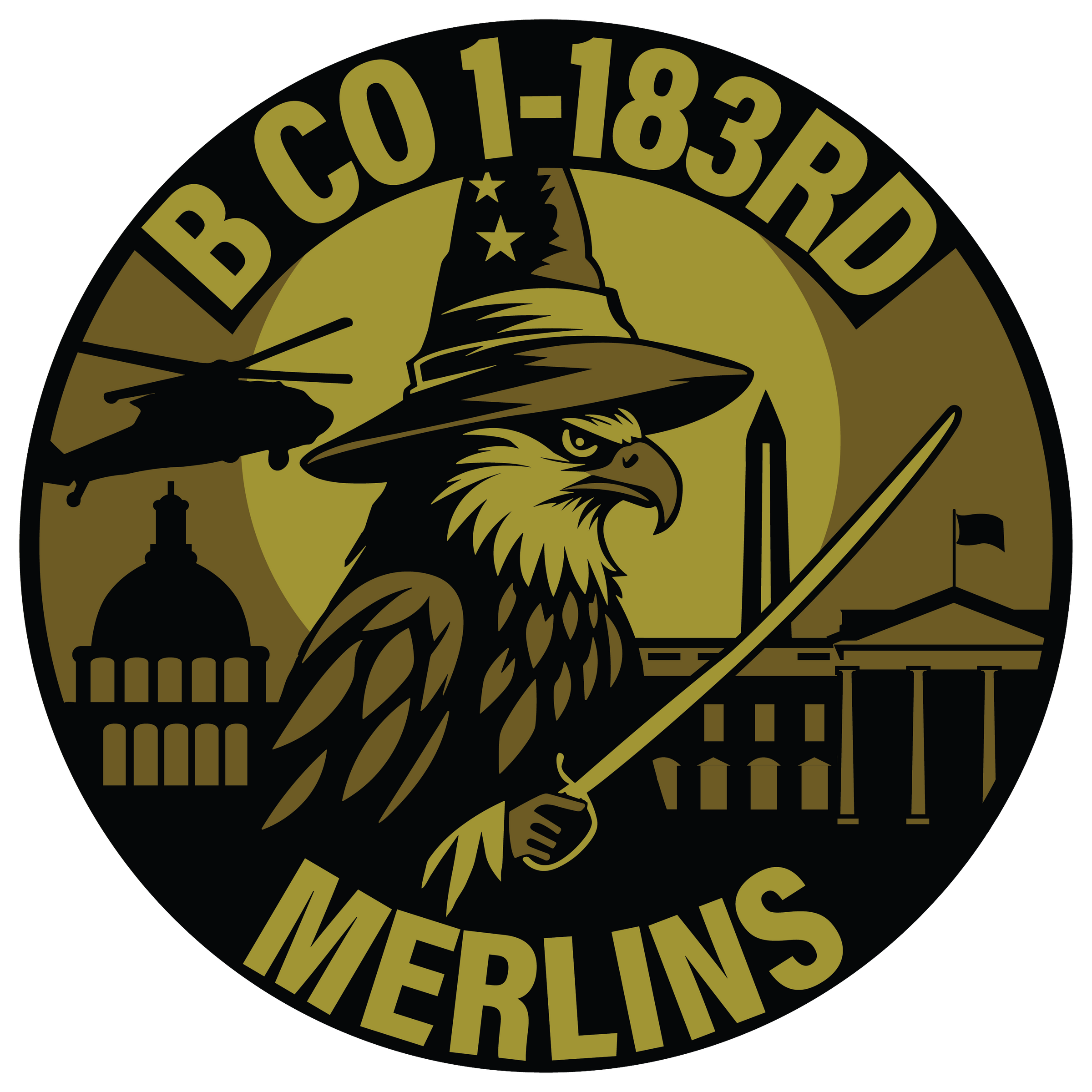B Co, 1-183 AHB "Merlins"