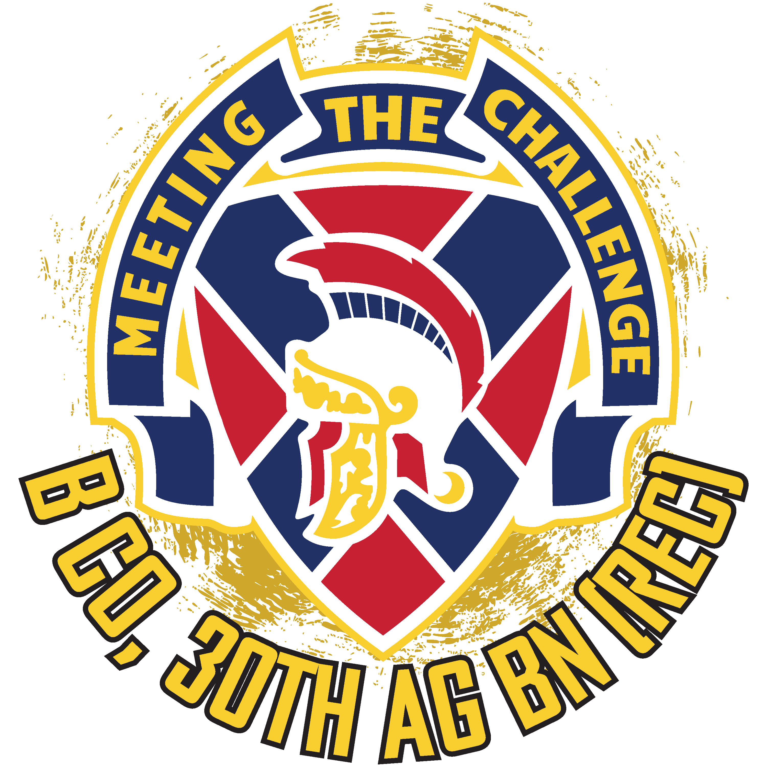 B Co, 30th AG BN (REC) "Bulldawgs"