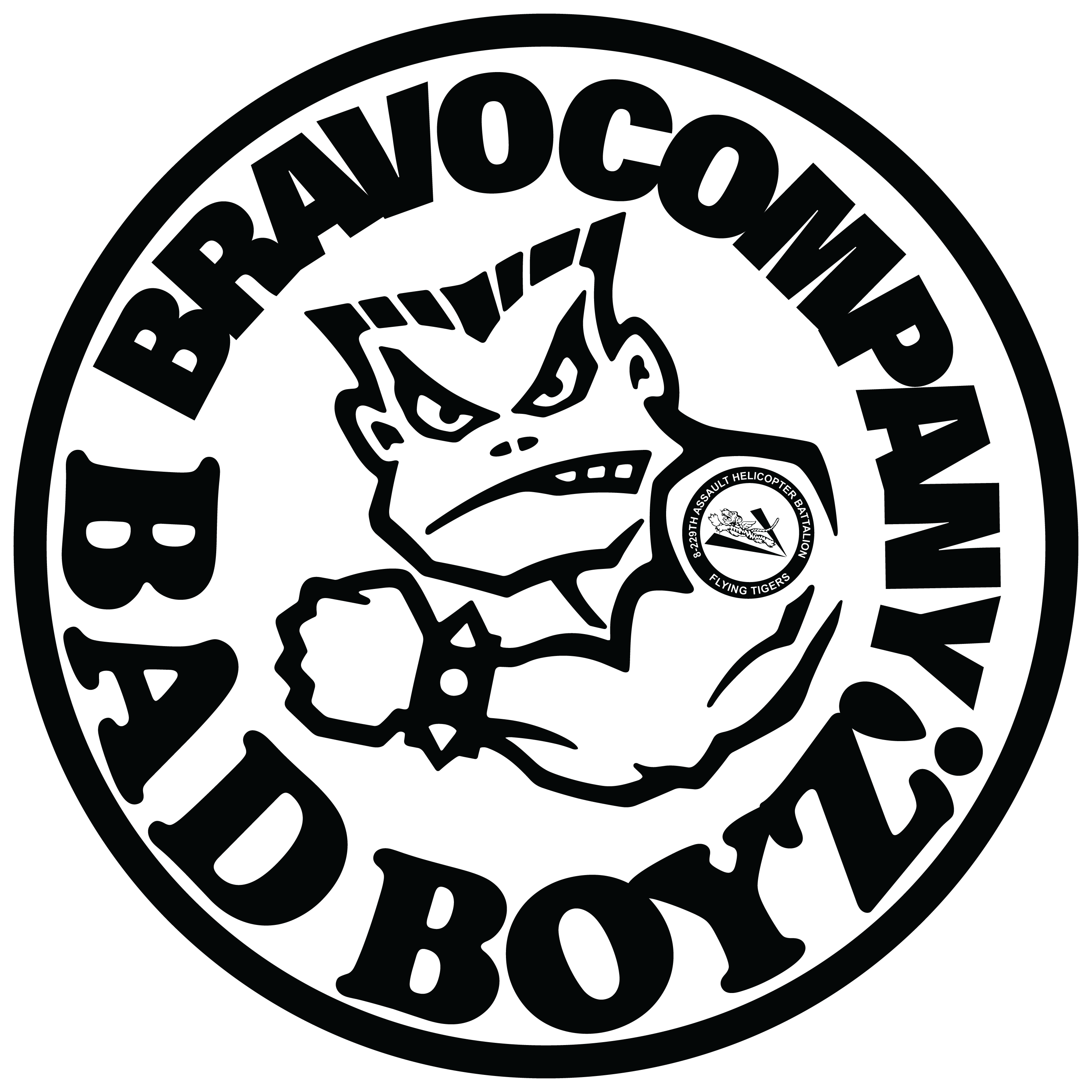 B Co, 8-229 AHB "Bad Boyz"