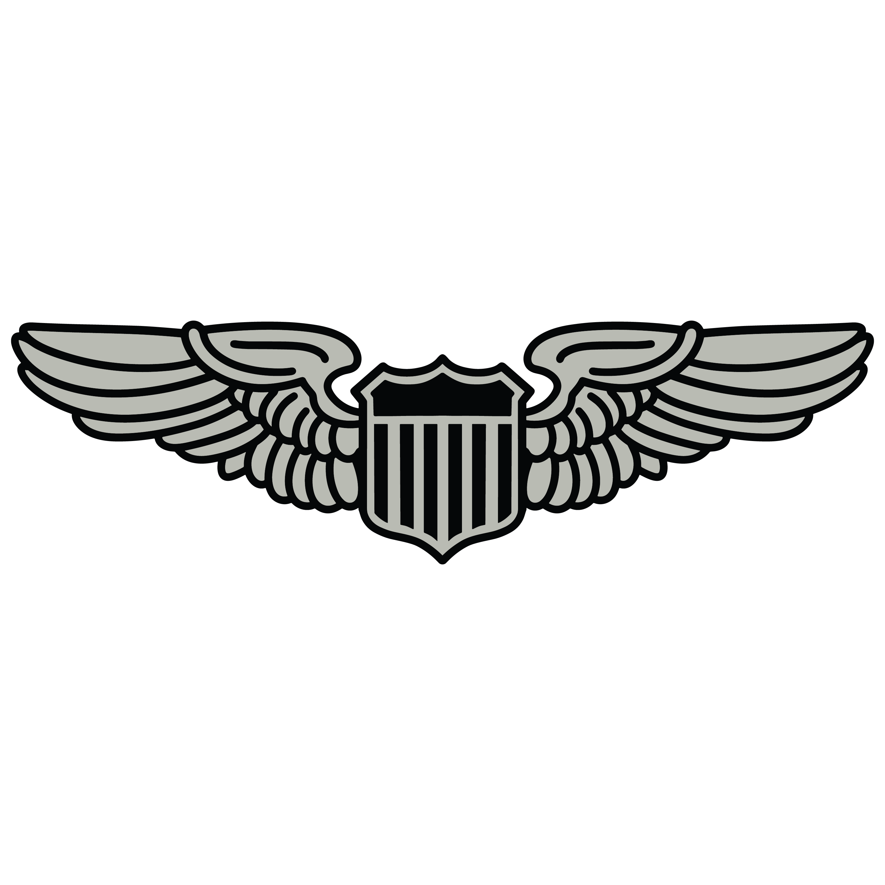 Air Force Basic Pilot Wings Badge