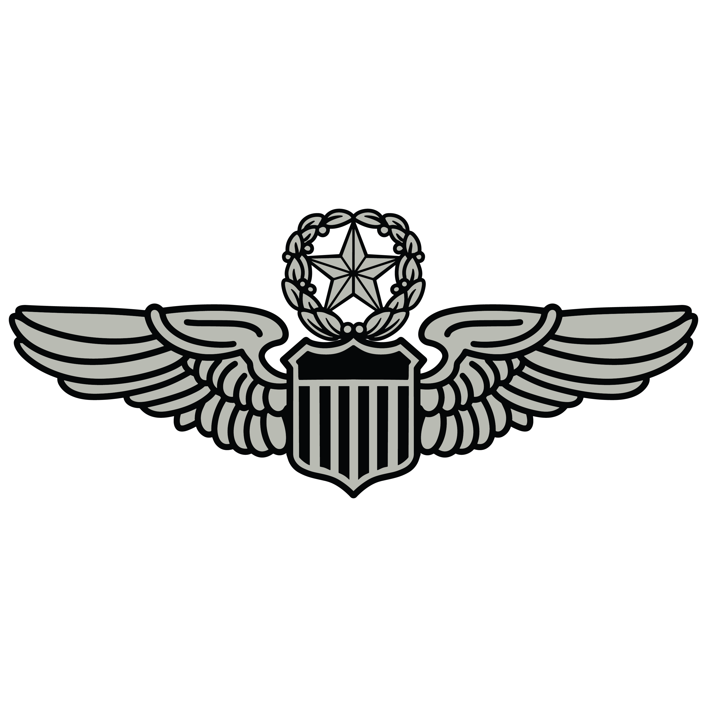 Air Force Command Pilot Wings Badge