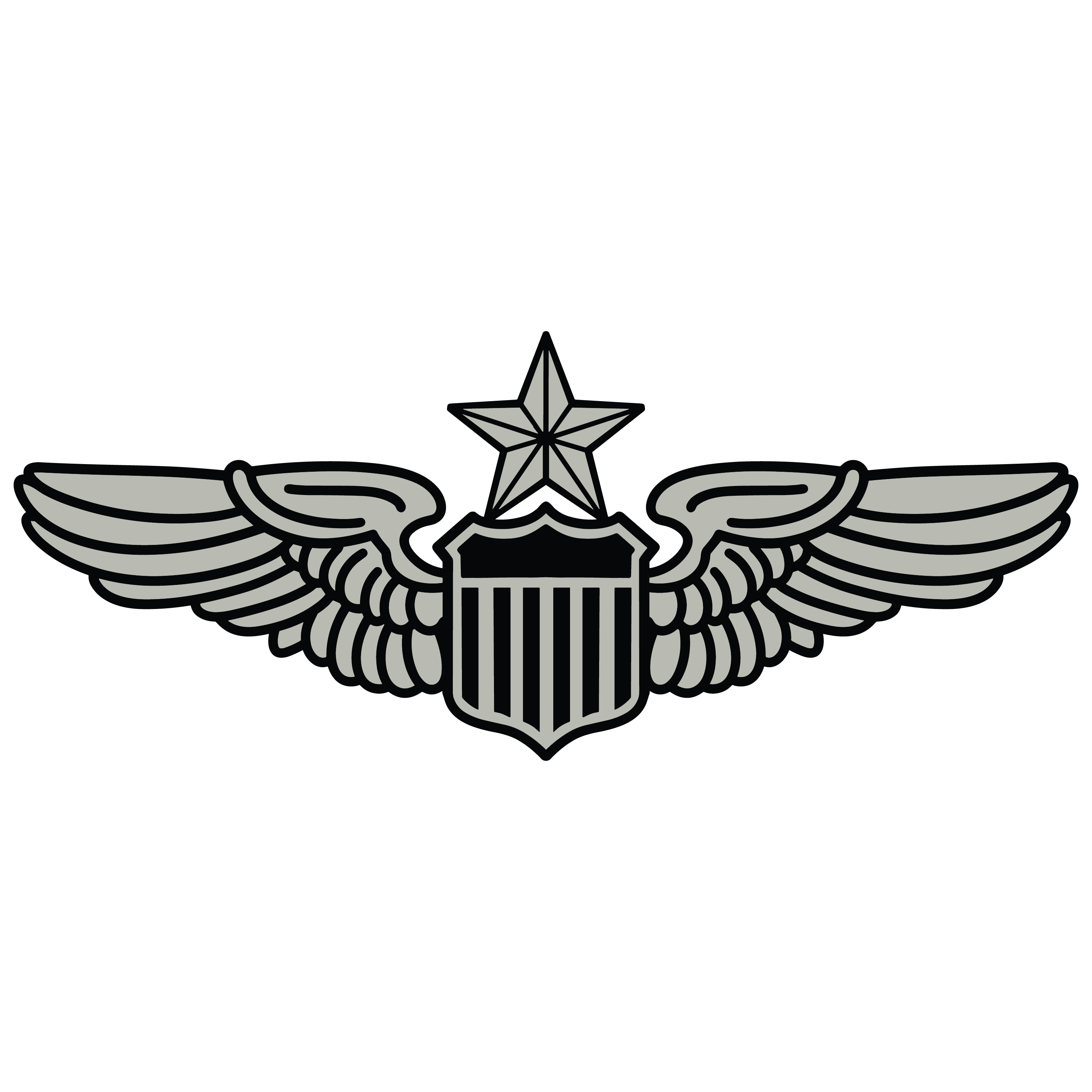 Air Force Senior Pilot Wings Badge
