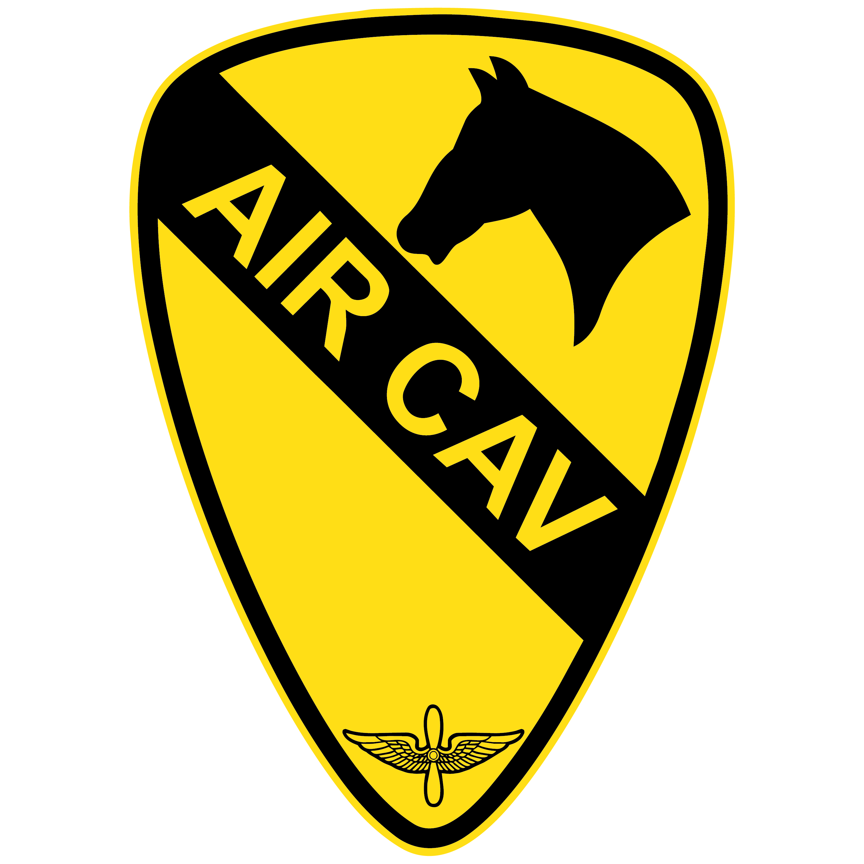 Air Cav