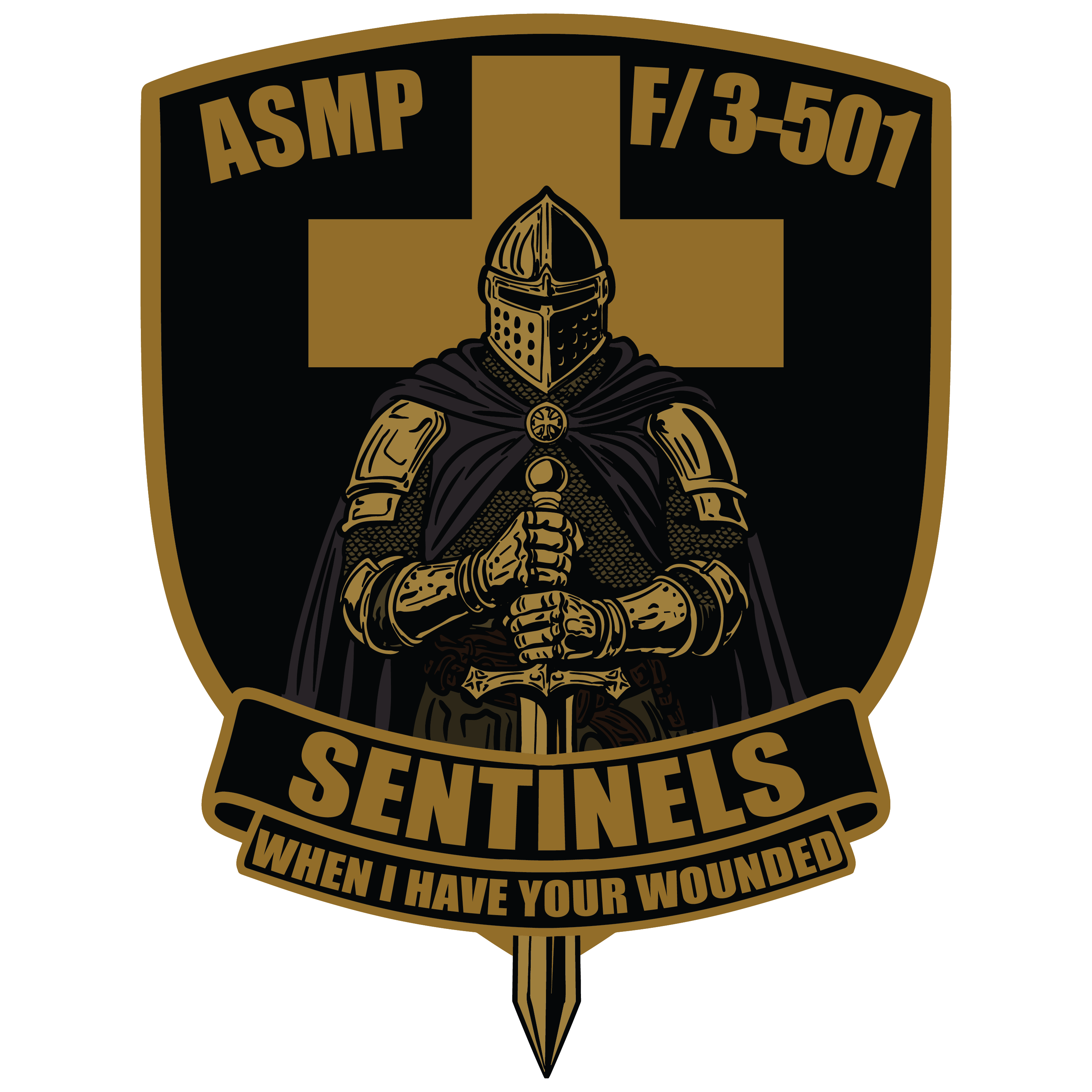 ASMP, F Co, 3-501 AHB "Sentinels"