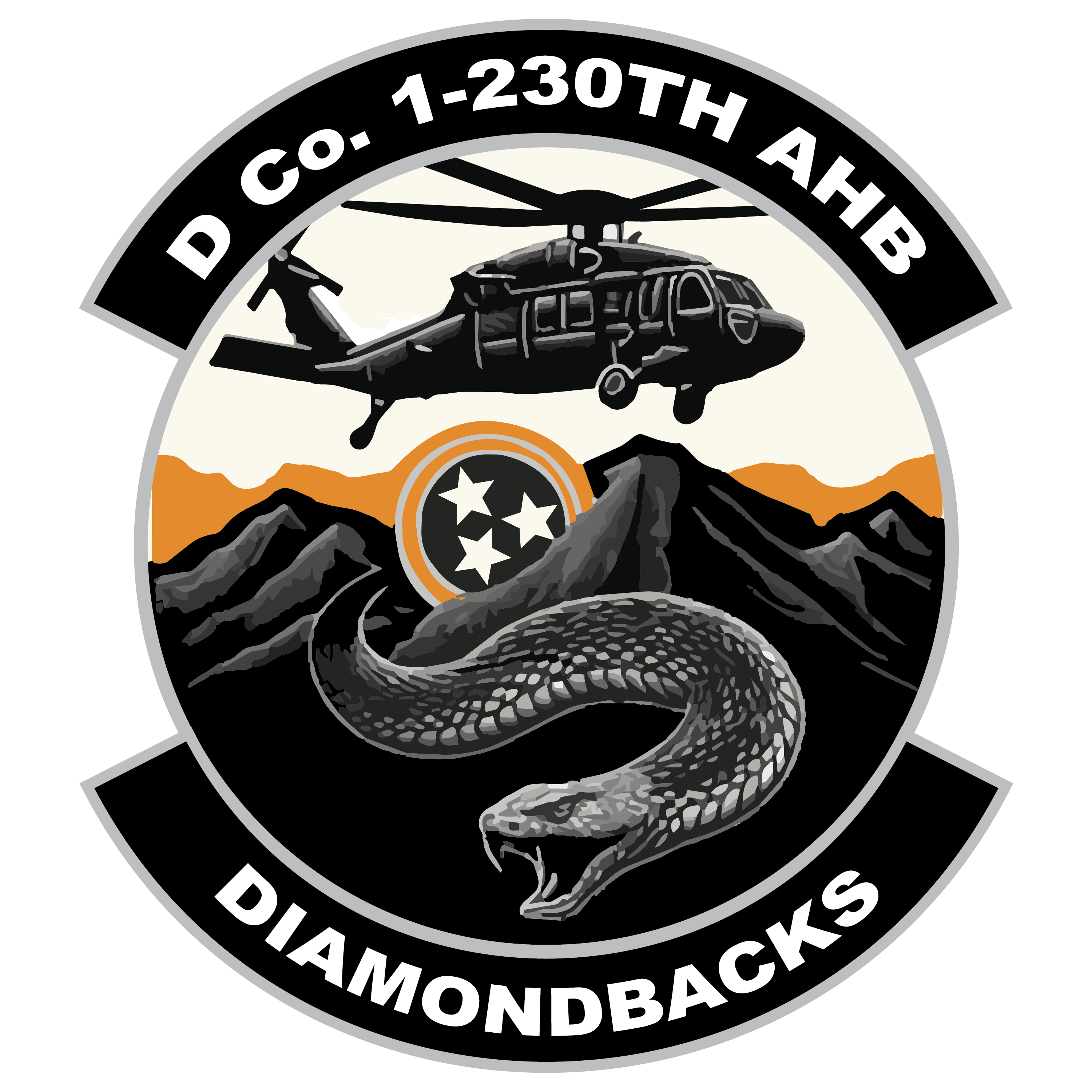 D Co, 1-230th AHB "Diamondbacks"