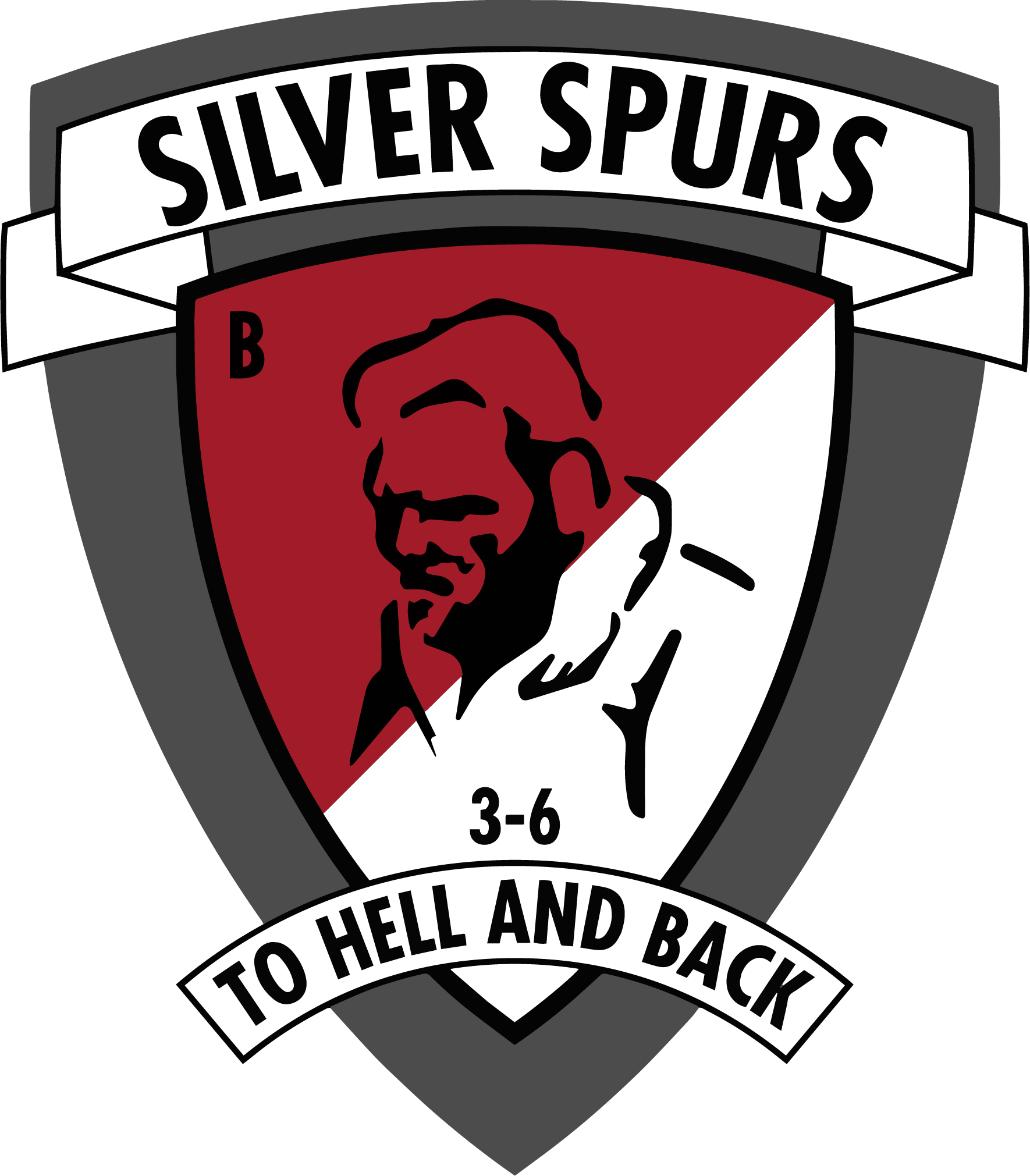 B Troop, 3-6 ACS "Silver Spurs"