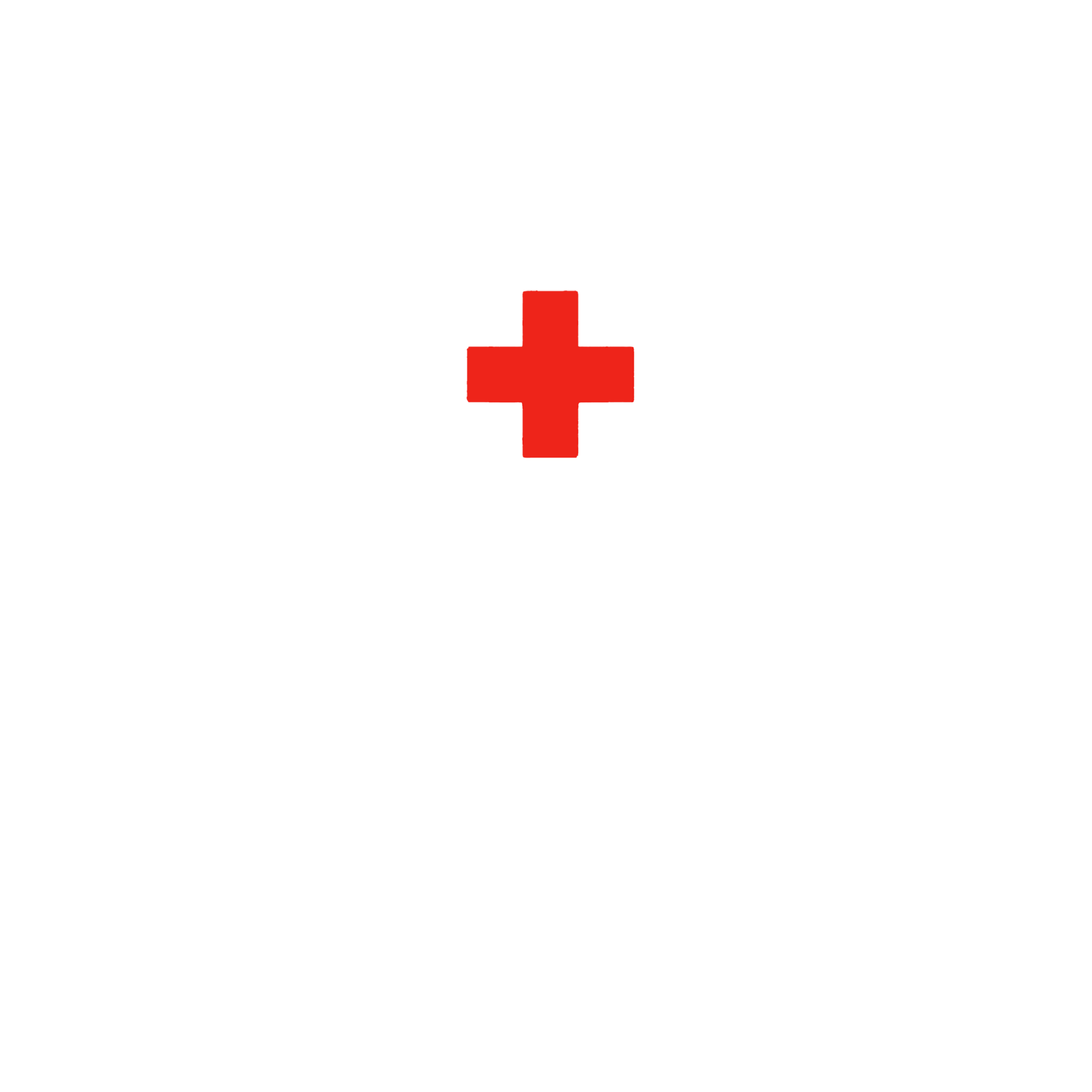 3 FSMP, C Co, 6-101 GSAB "Whiskey Dustoff"