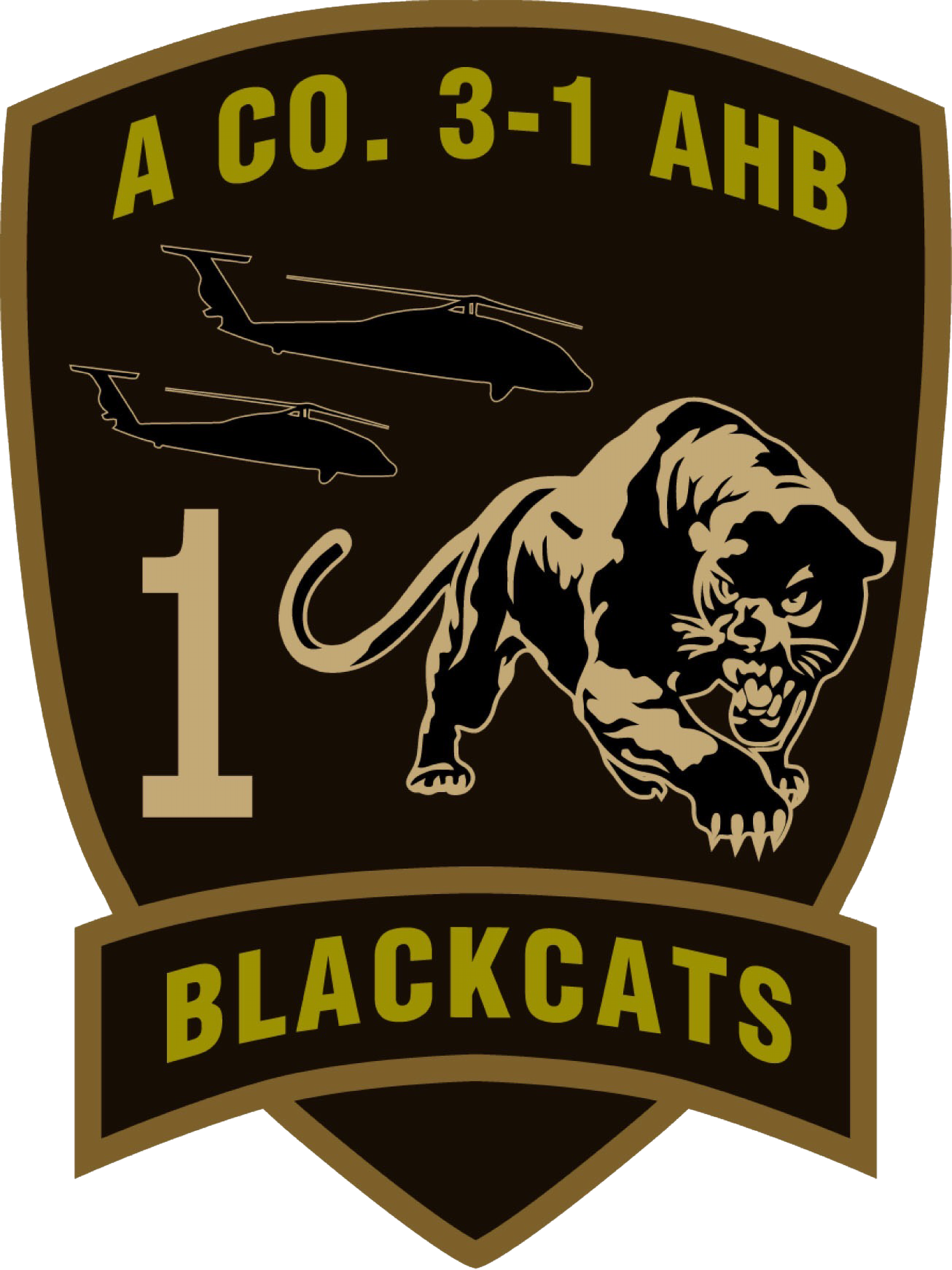 A Co, 3-1 AHB "Blackcats"