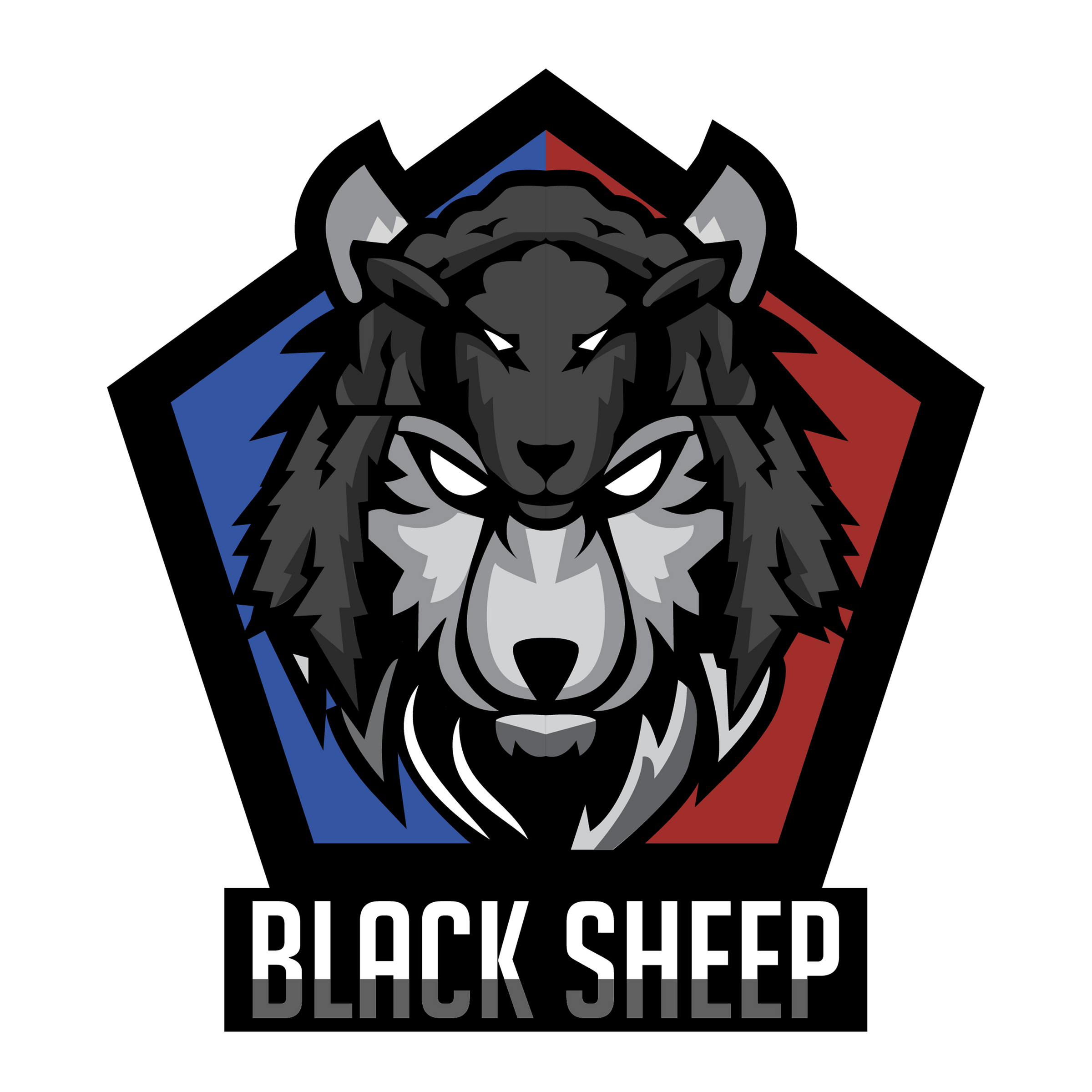 B Co, 12th AVN BN "Black Sheep"