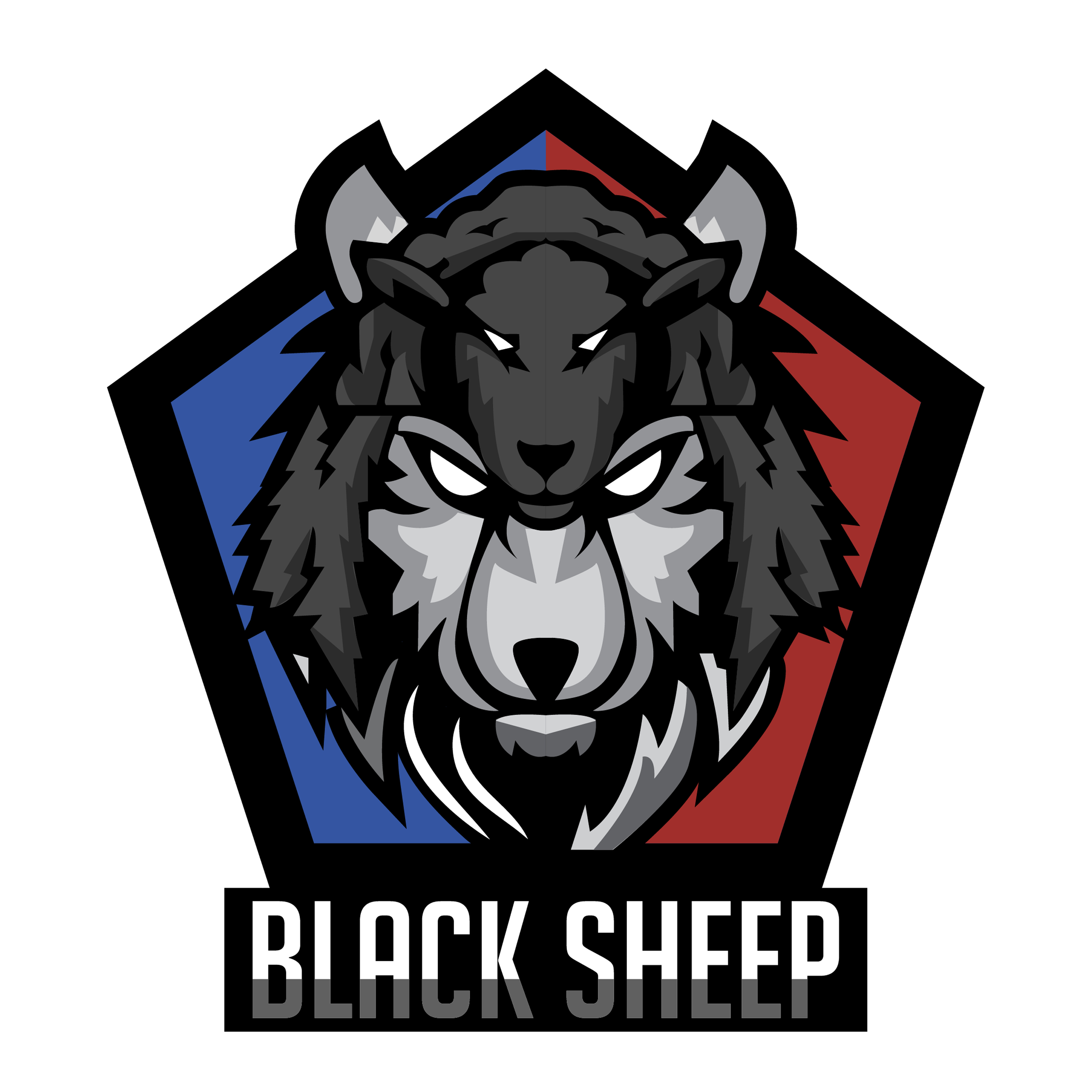 B Co, 12th AVN BN "Black Sheep"