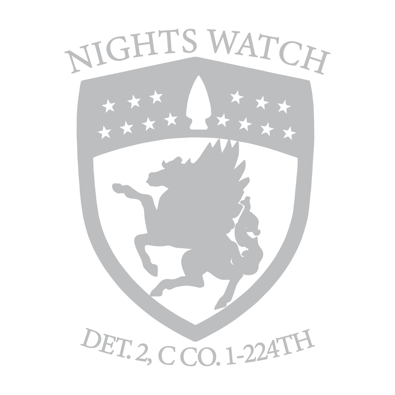 Det 2, C Co, 1-224th S&S AVN "Nights Watch"