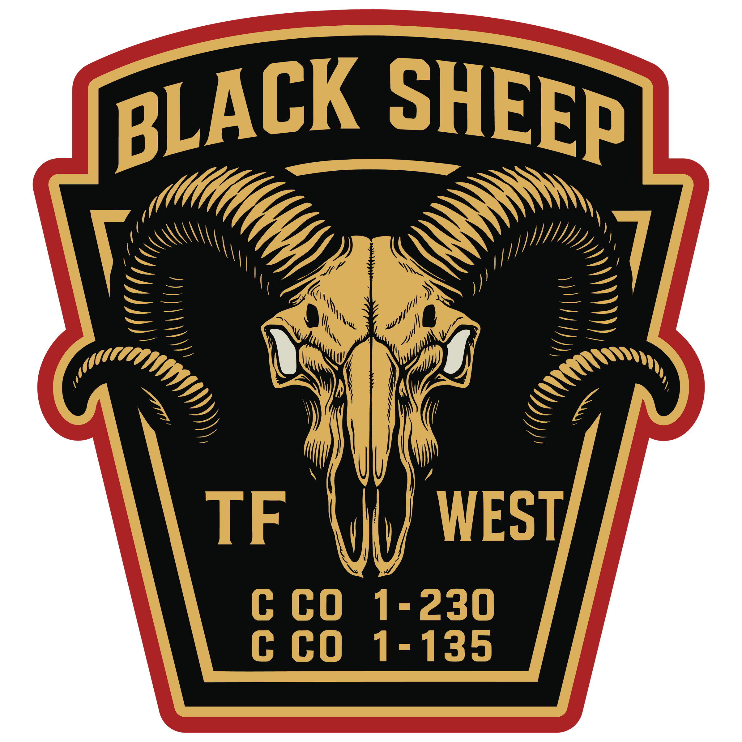 C Co, 1-230 AHB "Black Sheep"