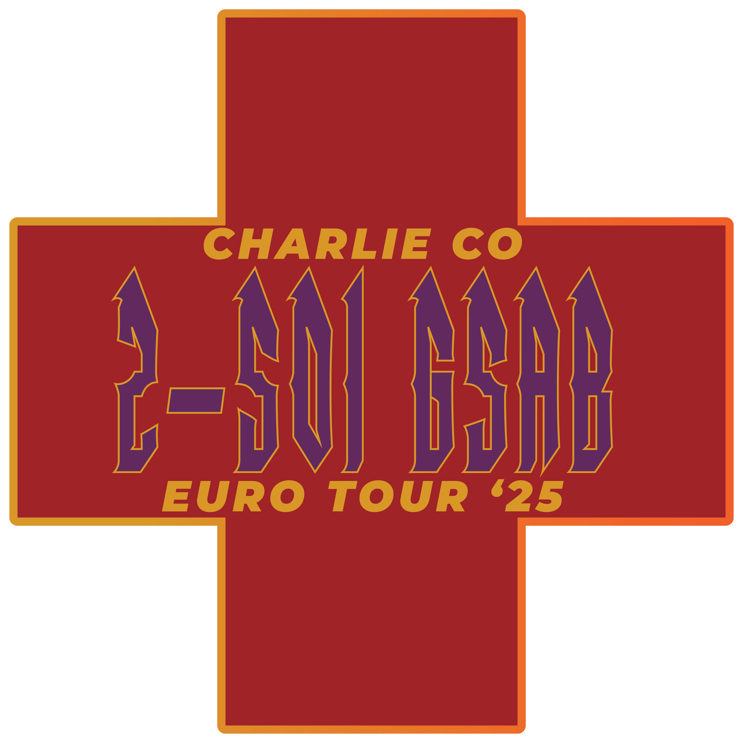 C Co, 2-501 AVN "Lonestar Dustoff"