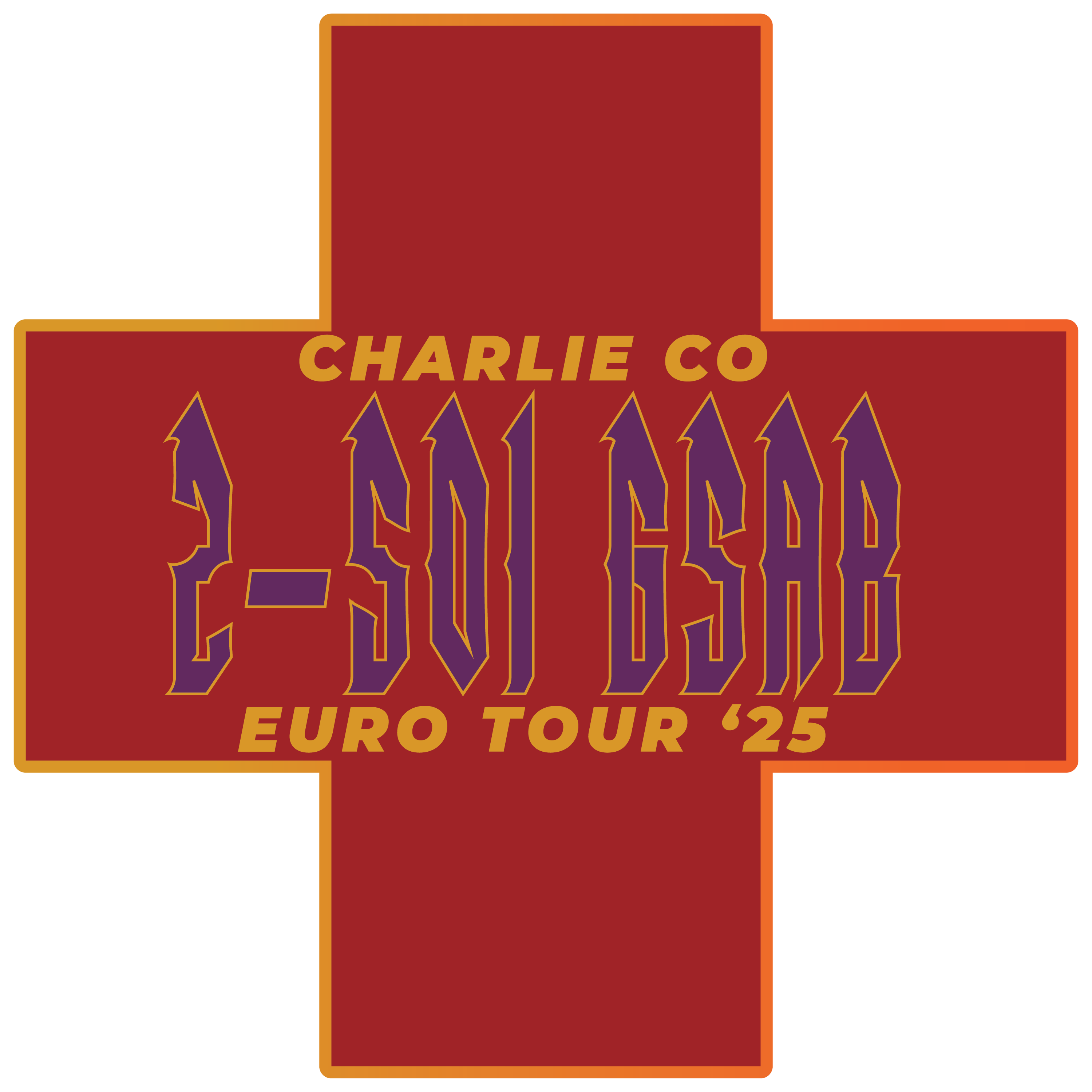 C Co, 2-501 AVN "Lonestar Dustoff"