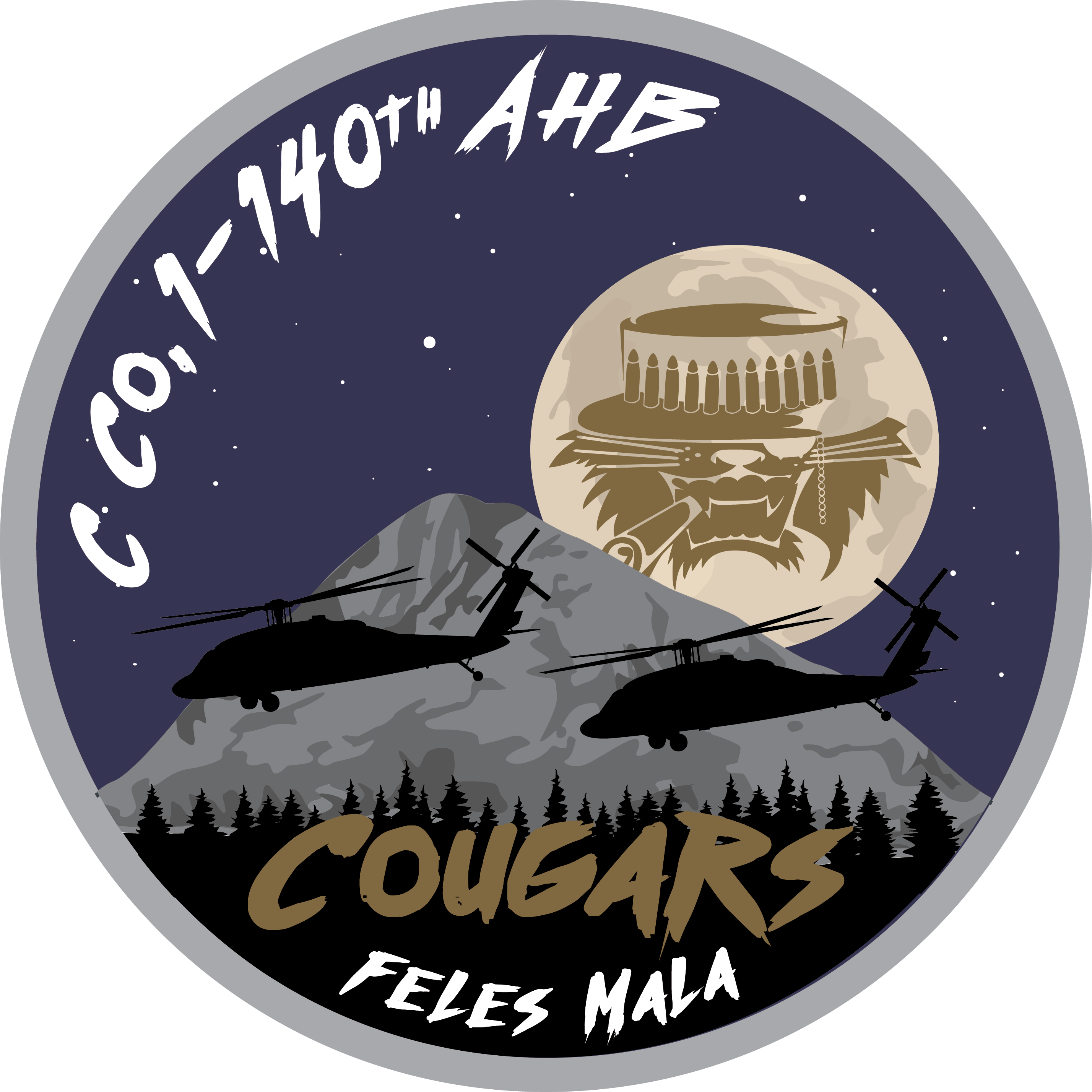 C Co, 1-140th "Cougars"