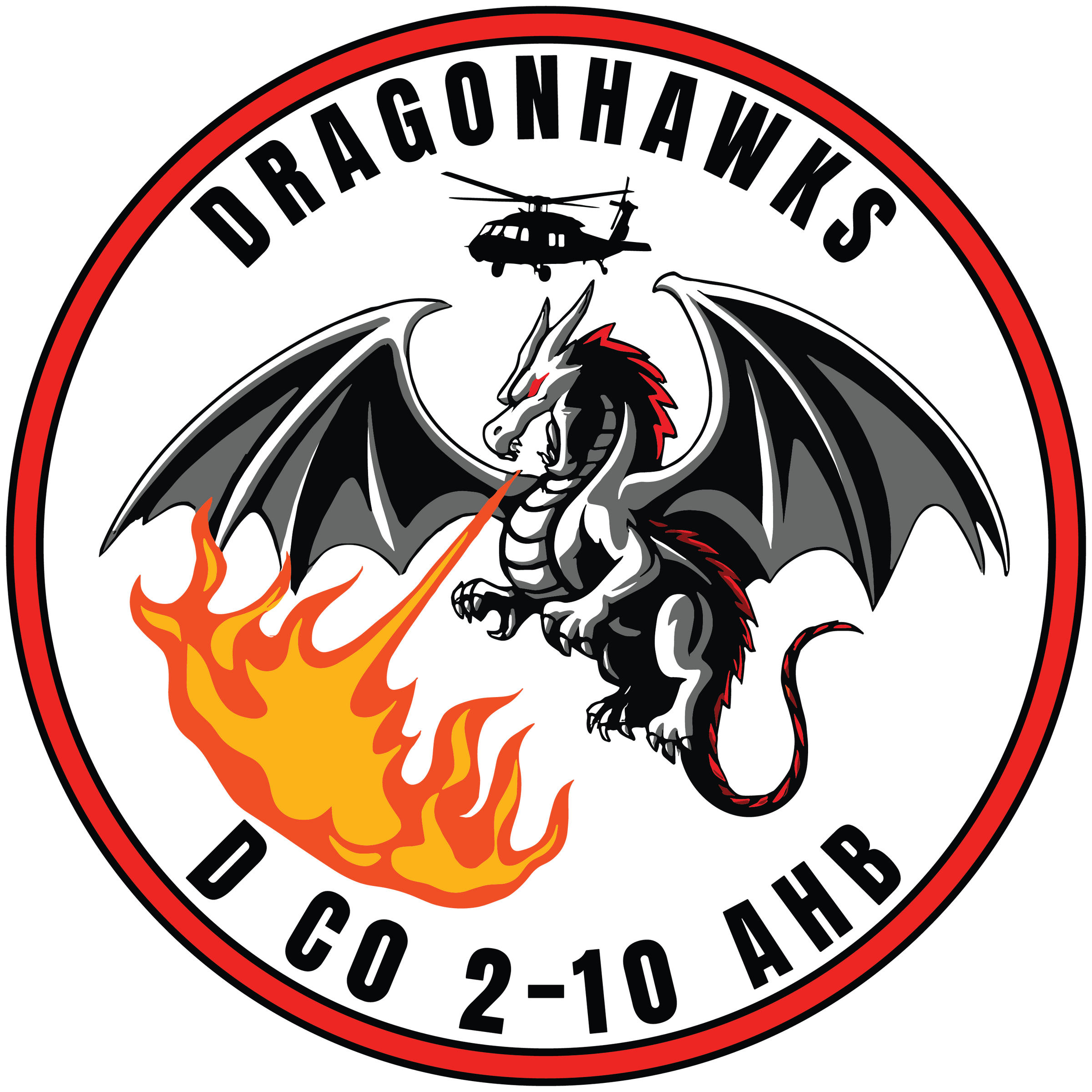 D Co, 2-10 AHB "Dragonhawks"