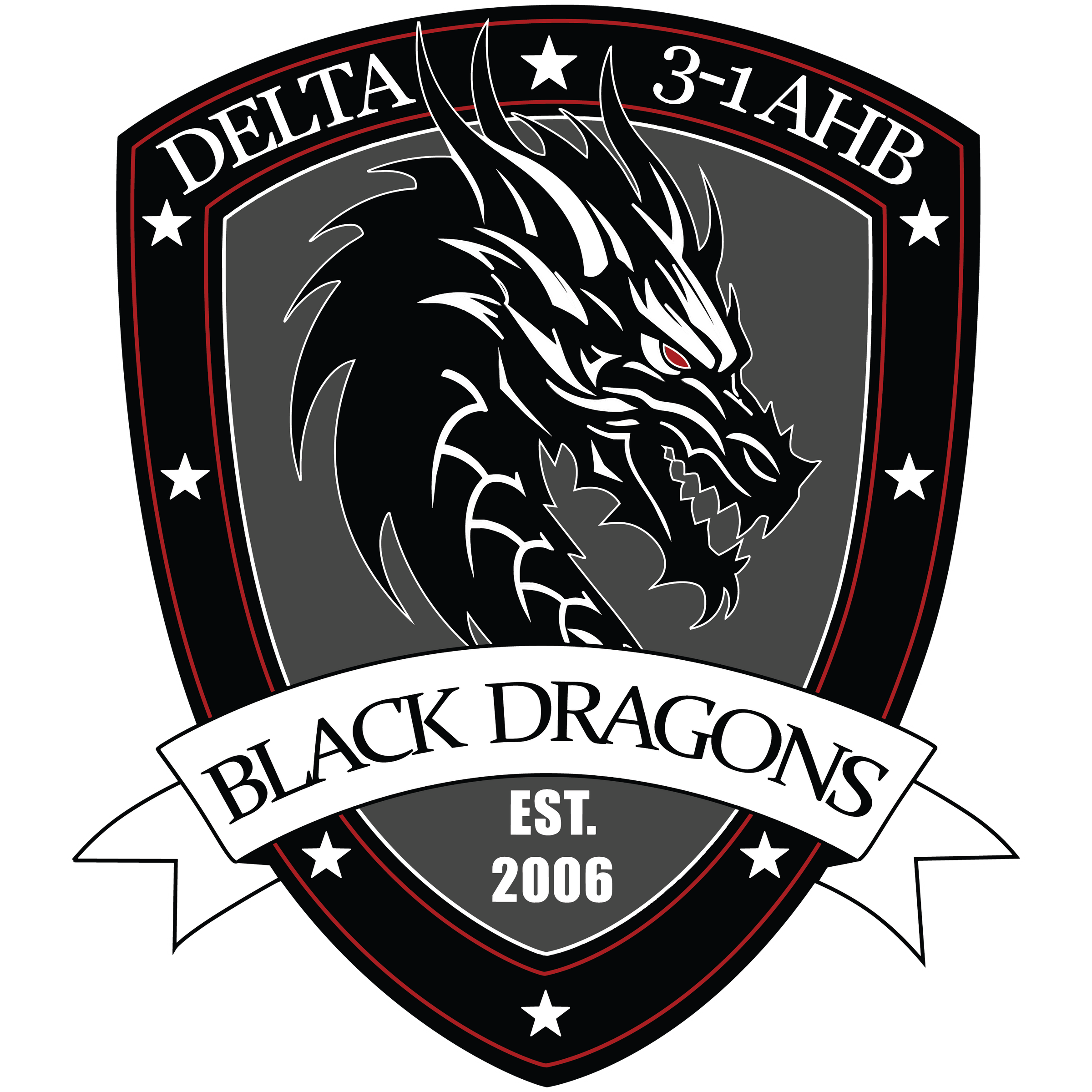 D Co, 3-1 AHB "Black Dragons"