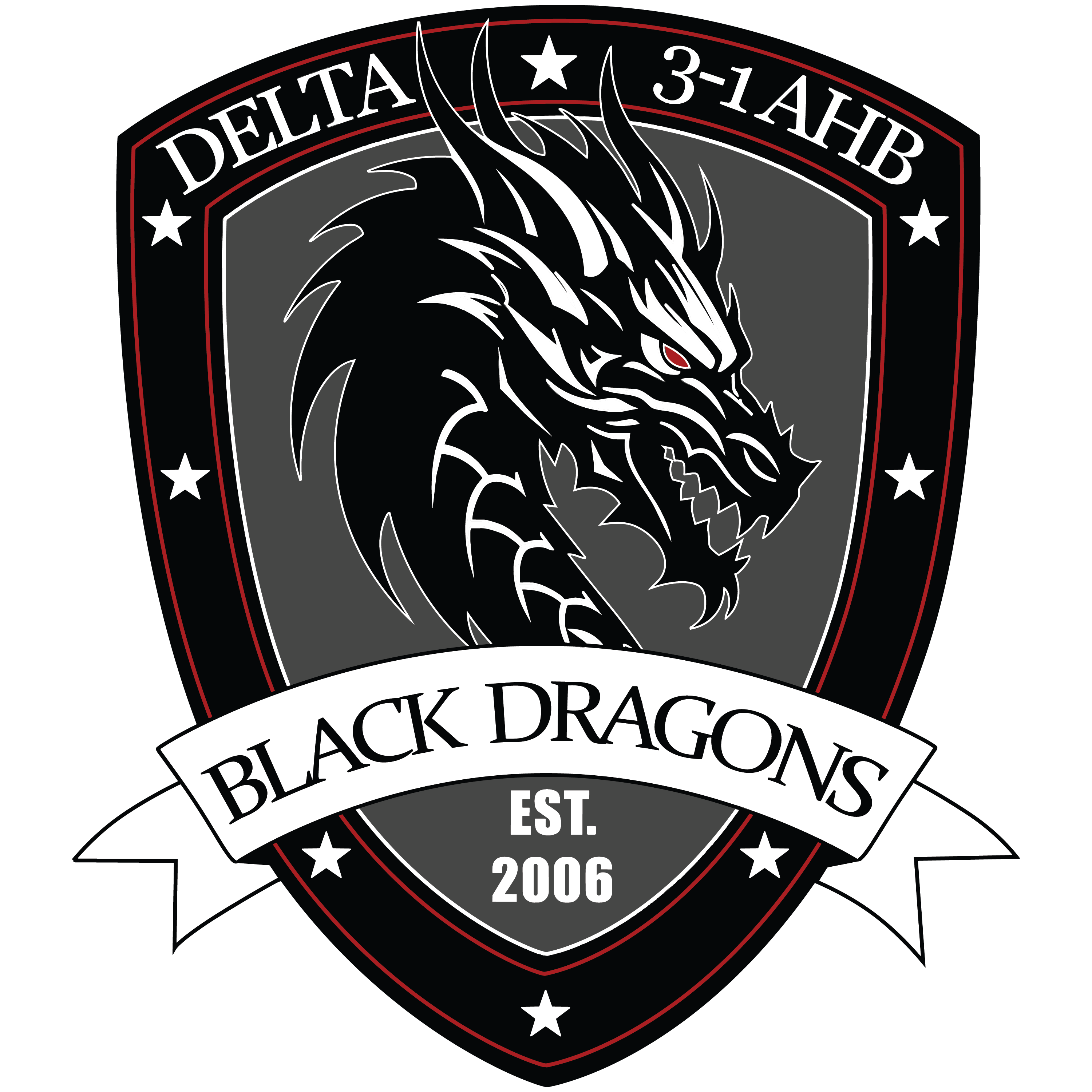 D Co, 3-1 AHB "Black Dragons"