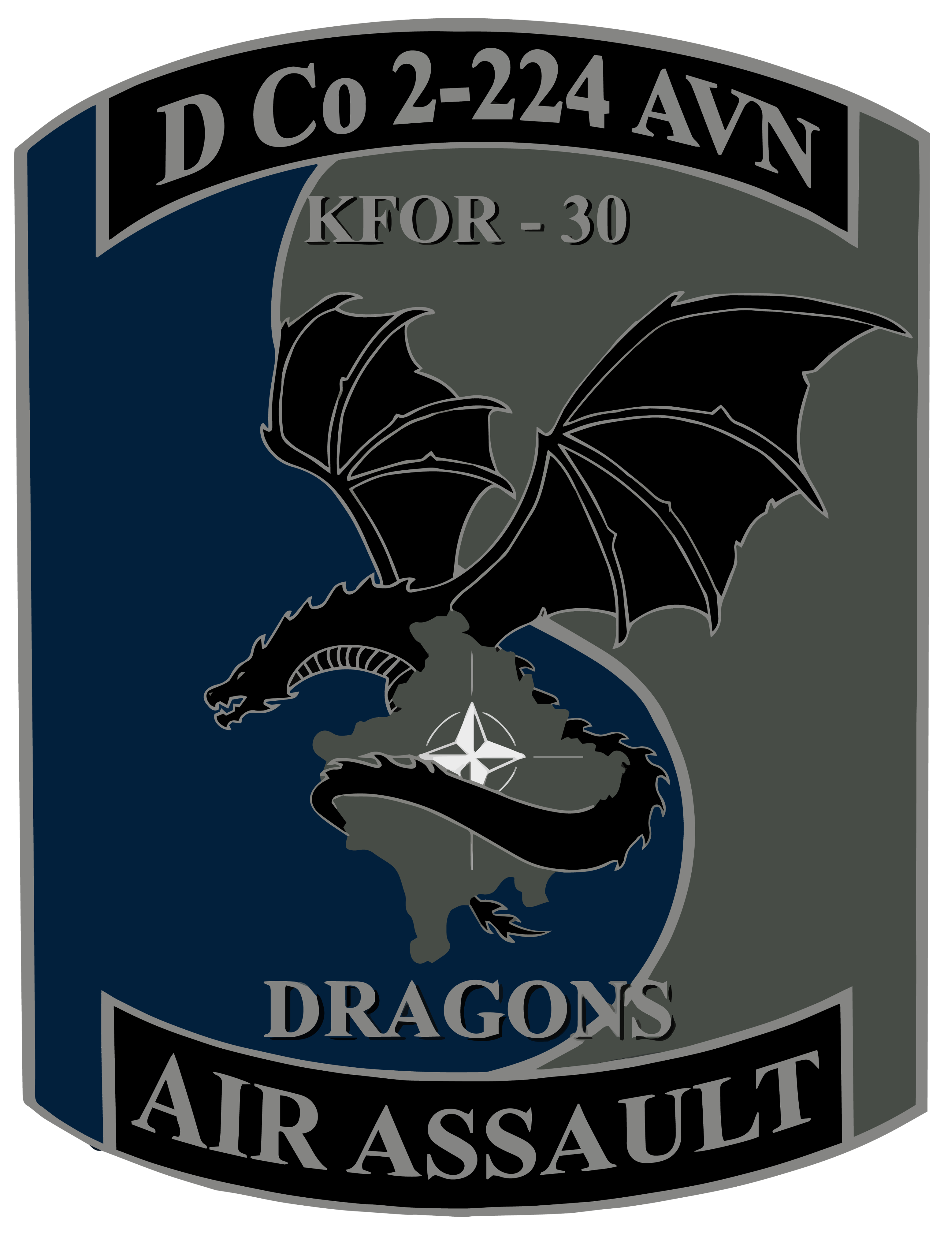 D Co, 2-224 AVN "Dragons"
