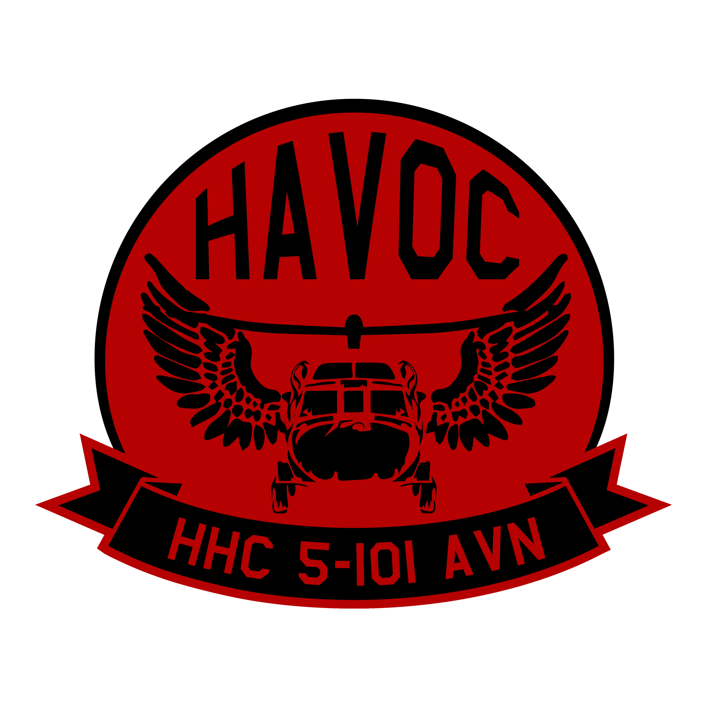 HHC, 5-101 AVN "Havoc"