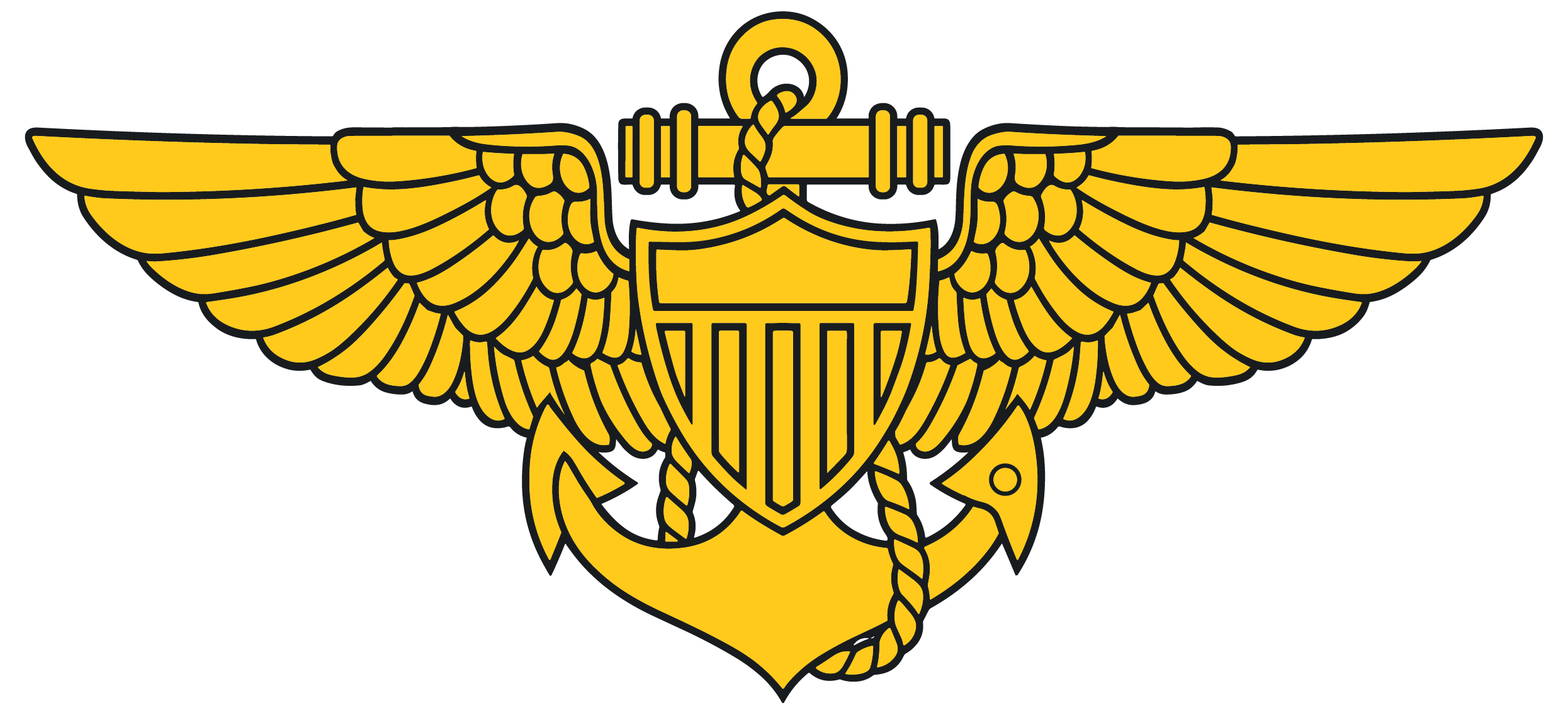 Naval Aviator Wings