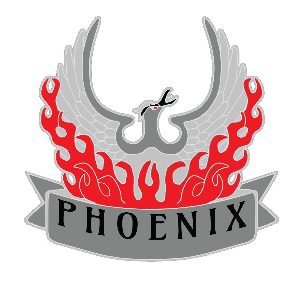 A Co, 5-101 AHB "Phoenix"