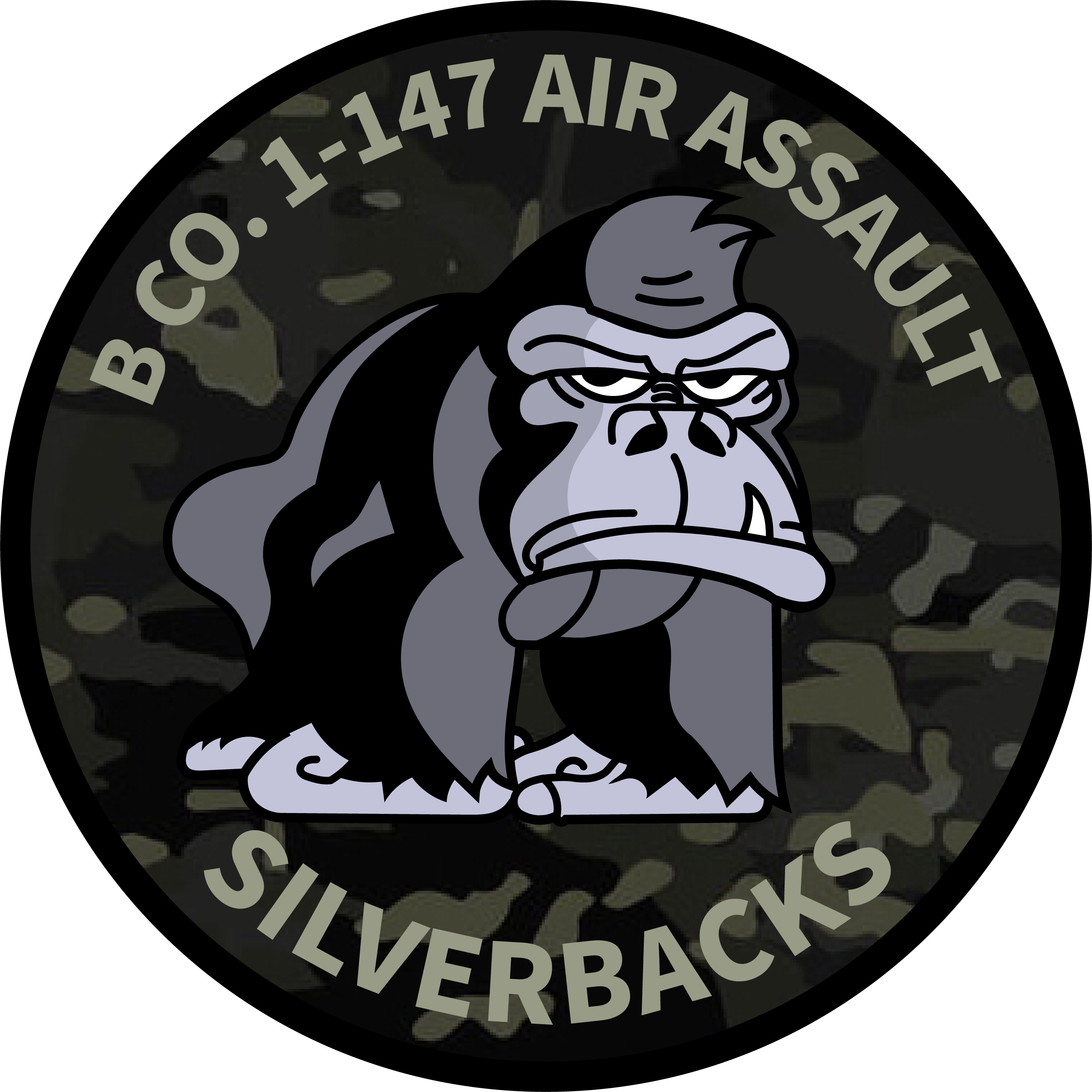 B Co, 1-147 AHB "Silverbacks"