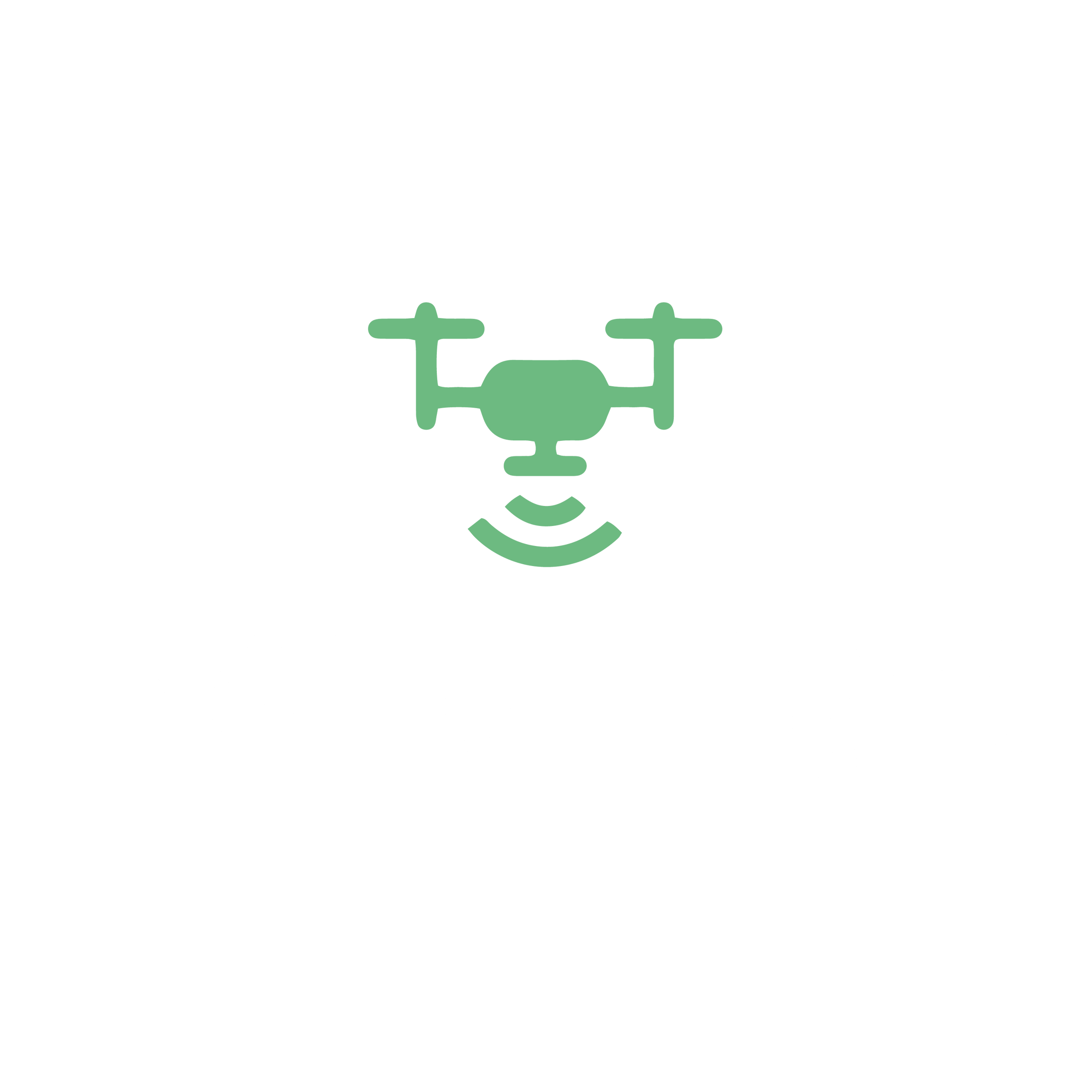 InSite Flight