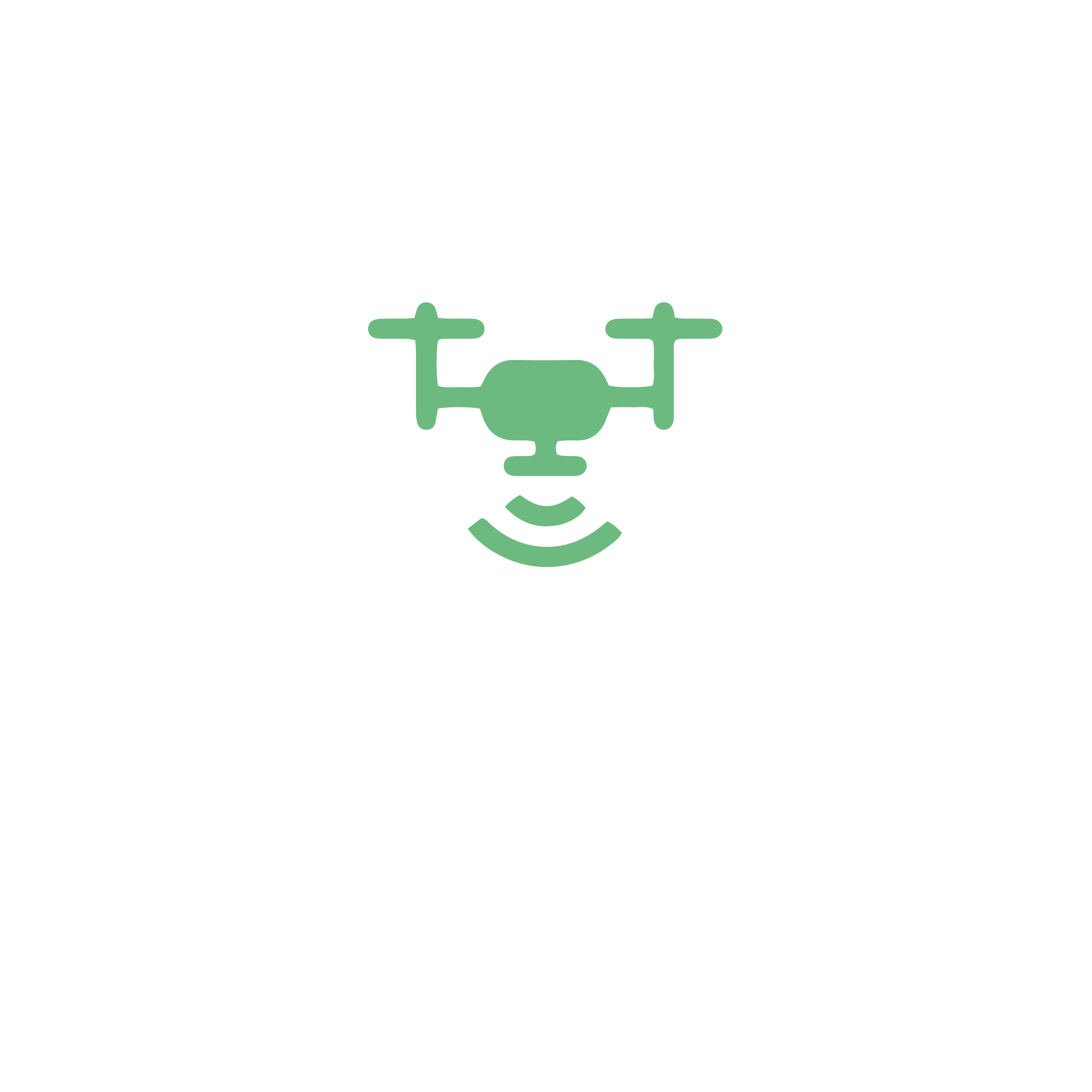 InSite Flight